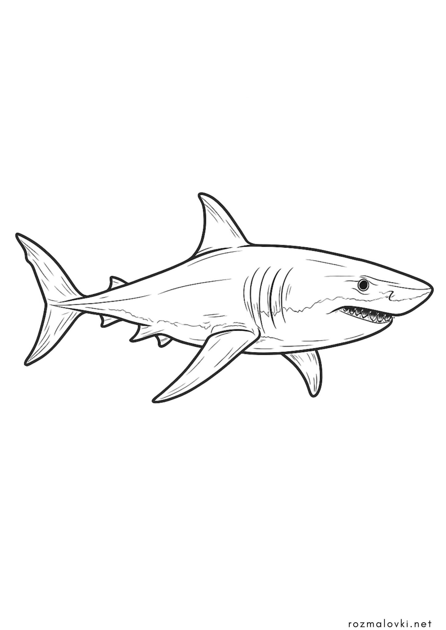 Раскраска Акула