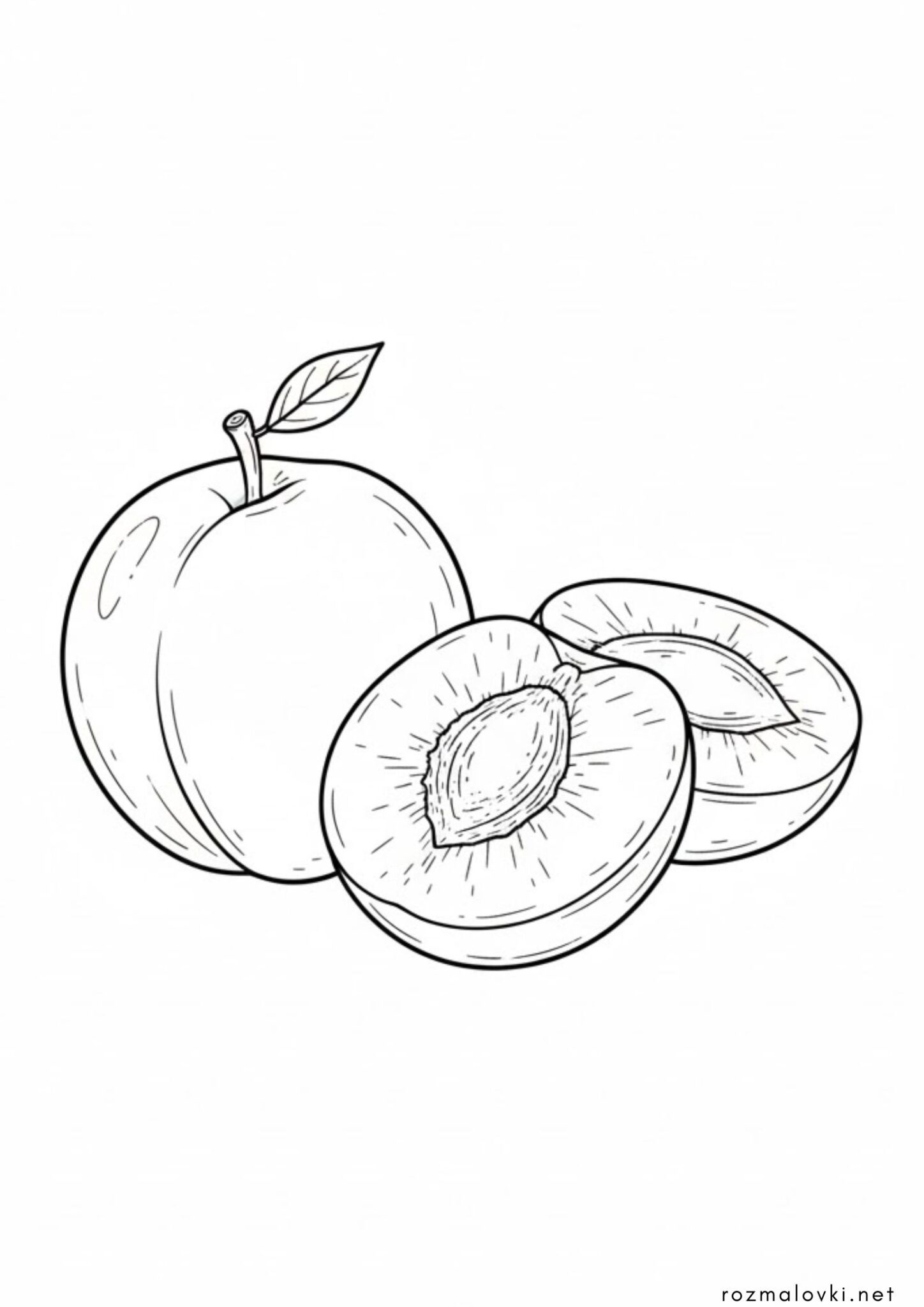 Раскраска Фрукт Слива