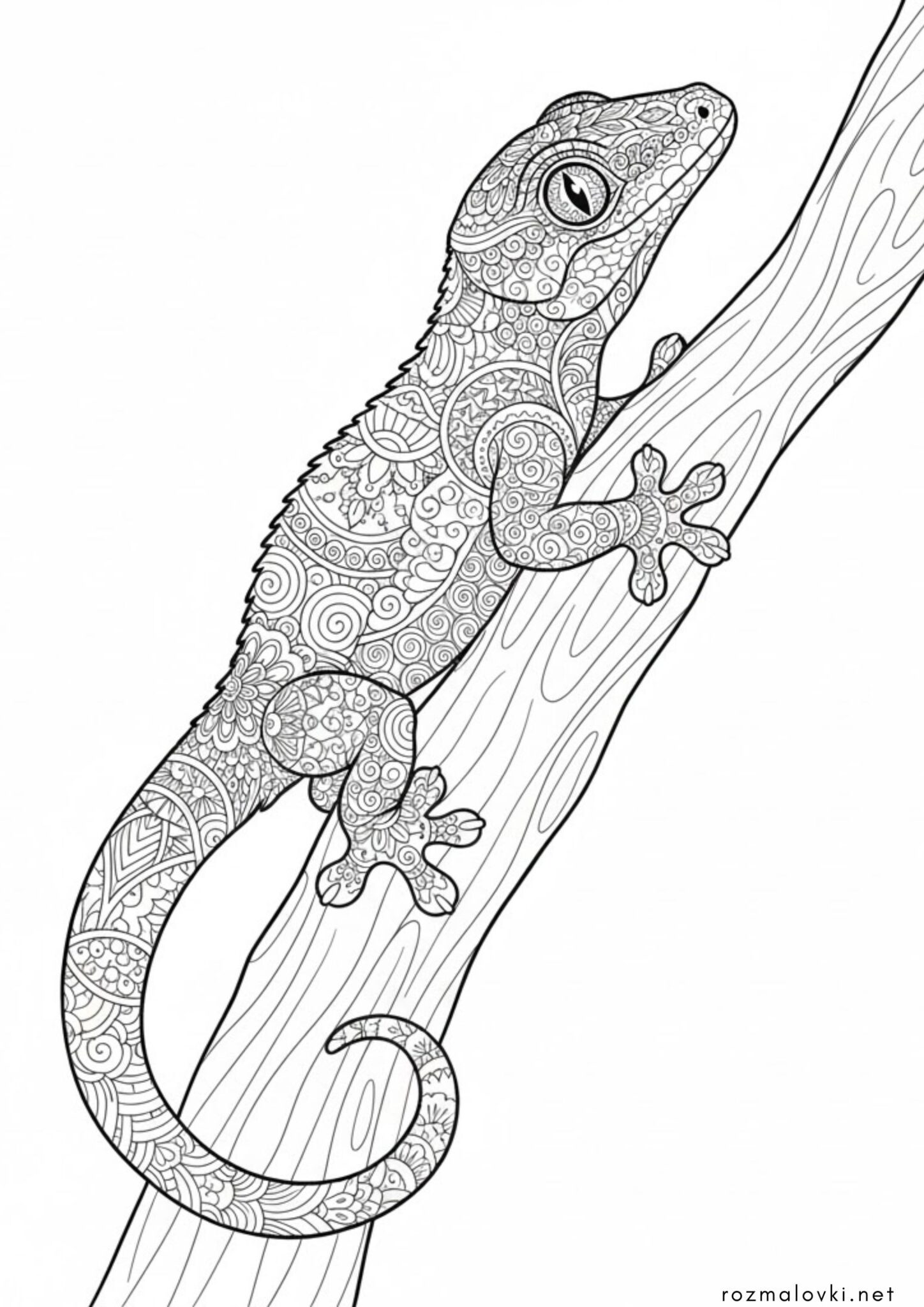Раскраска Гекон антистрес