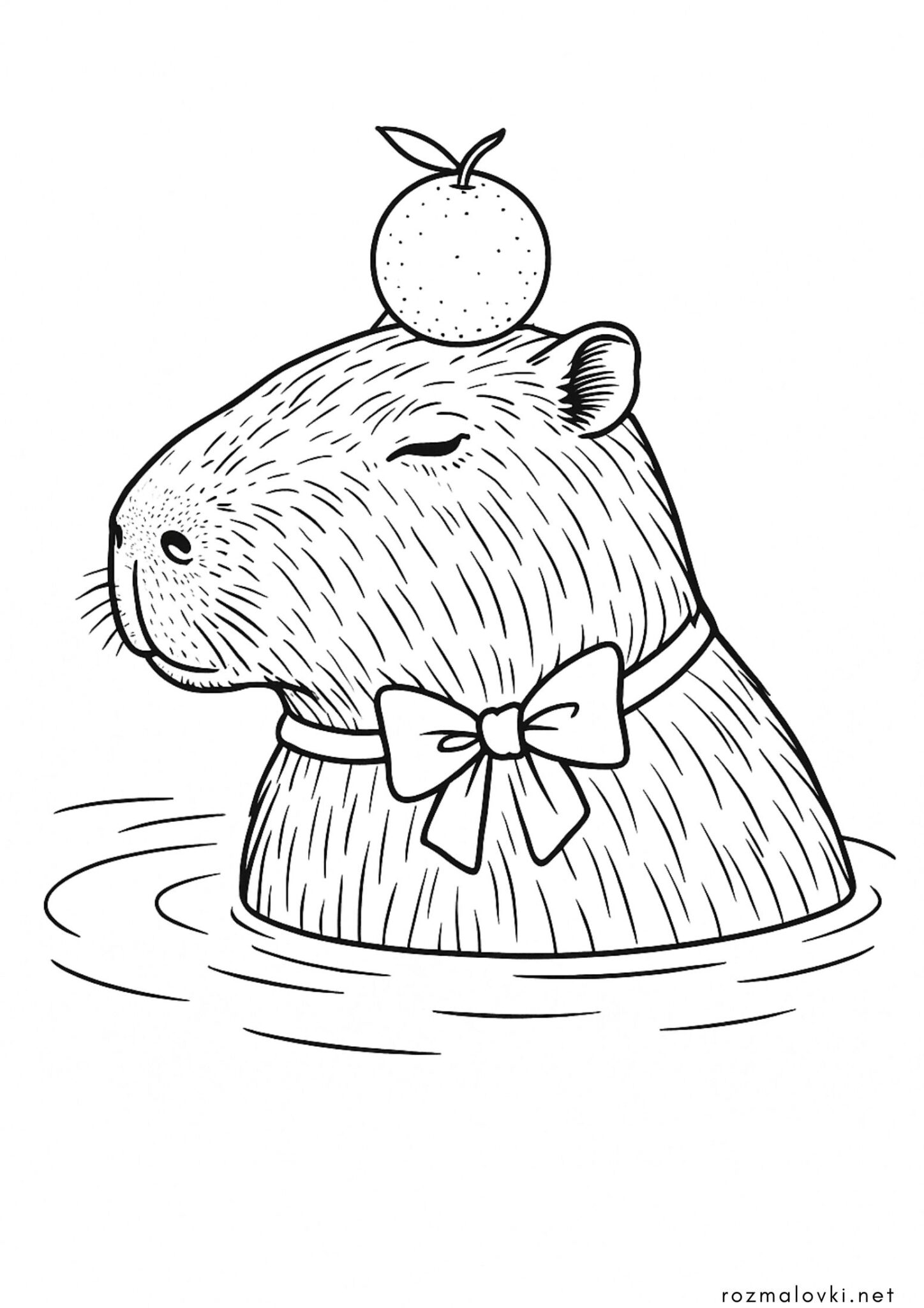 Раскраска Капібара у воді з апельсином