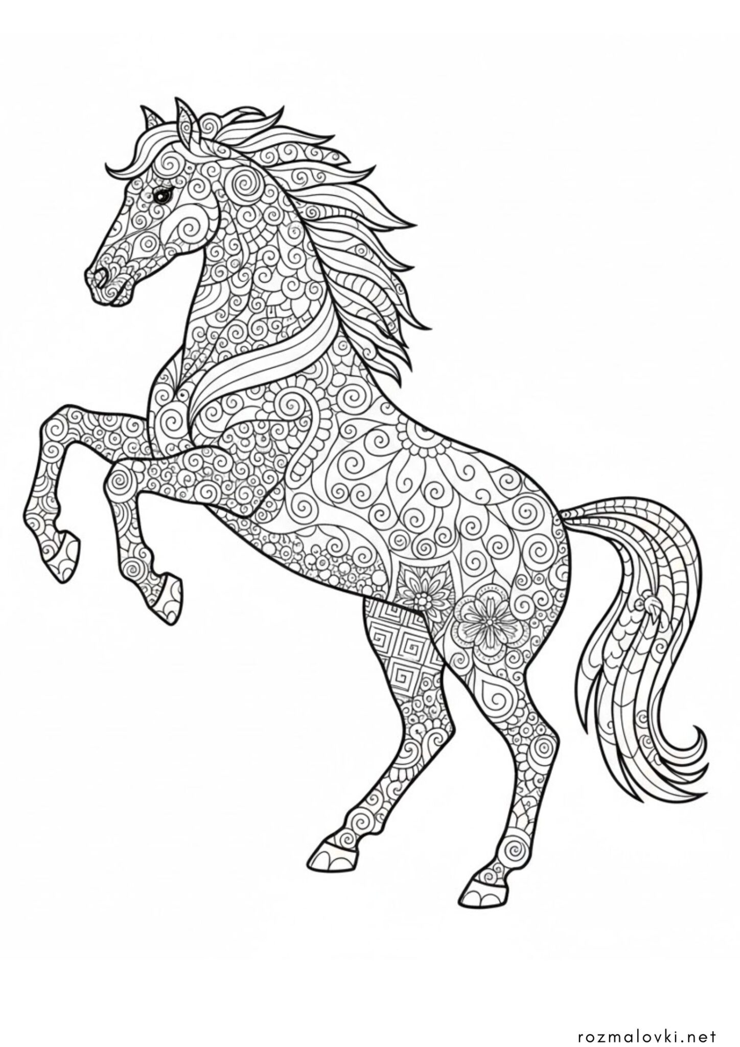 Раскраска Кінь антистрес