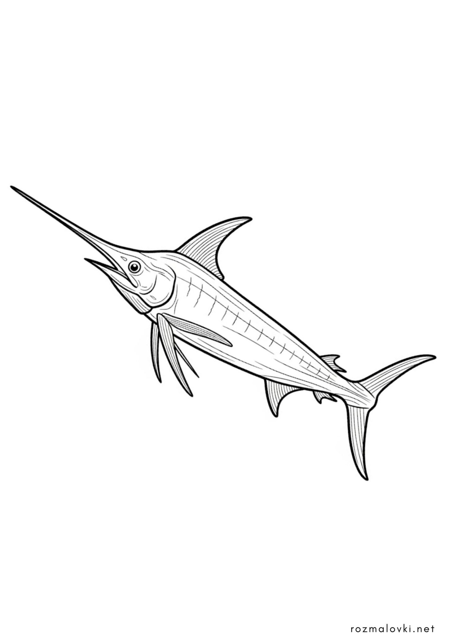 Раскраска Риба меч