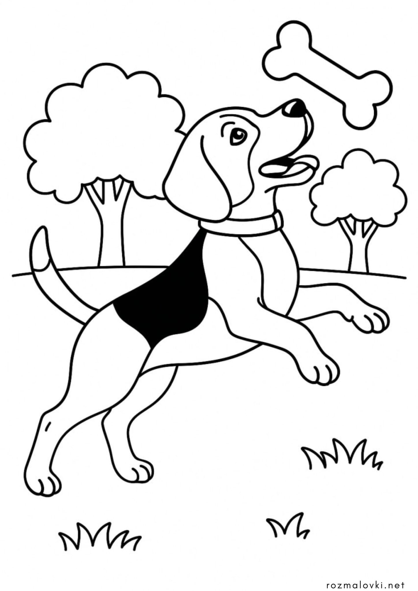 Раскраска Собачка Бігль