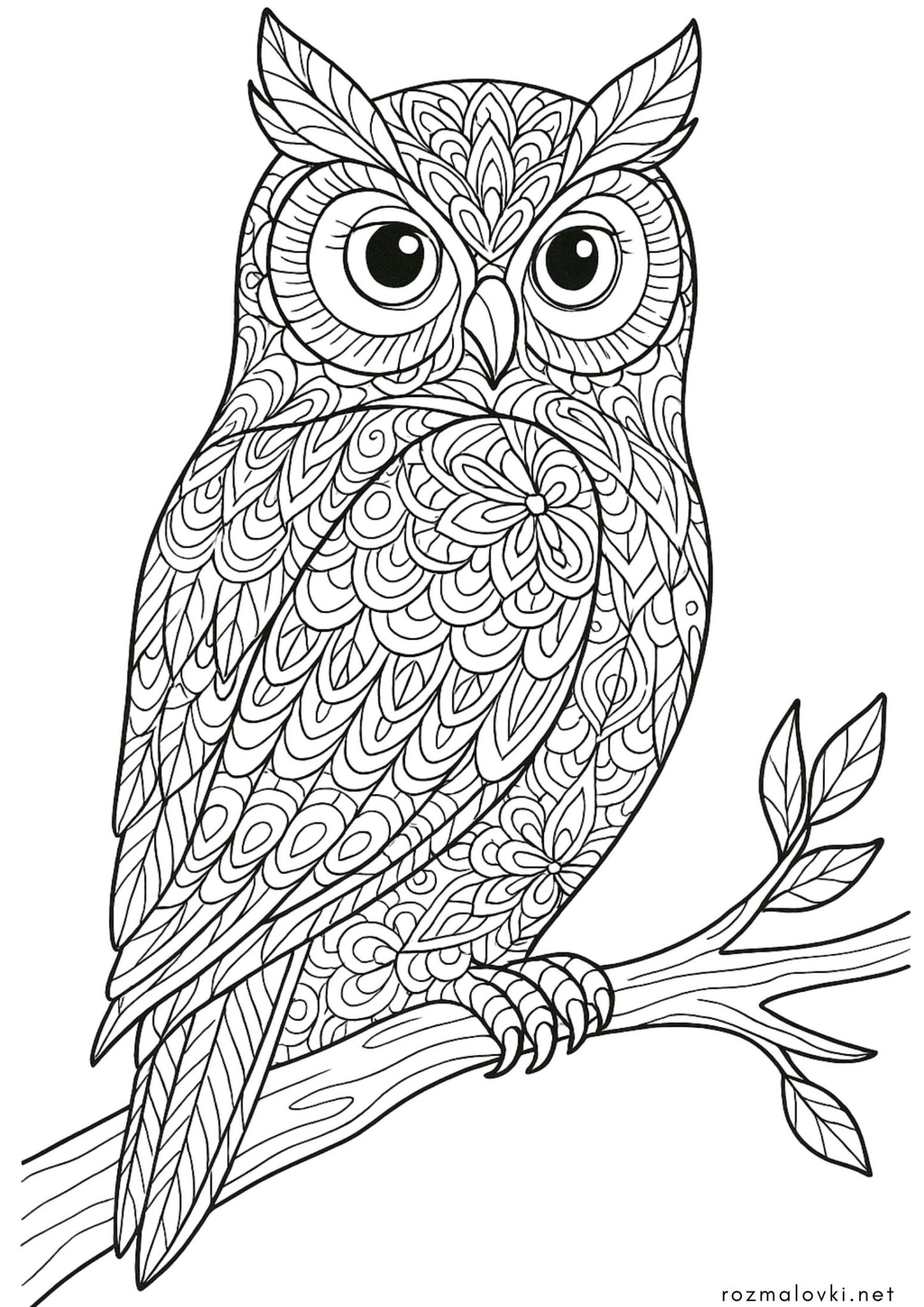 Раскраска Сова антистрес