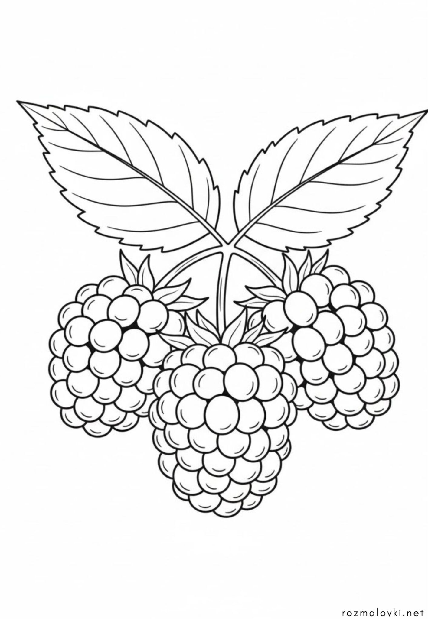 Раскраска Ягоди Ожини