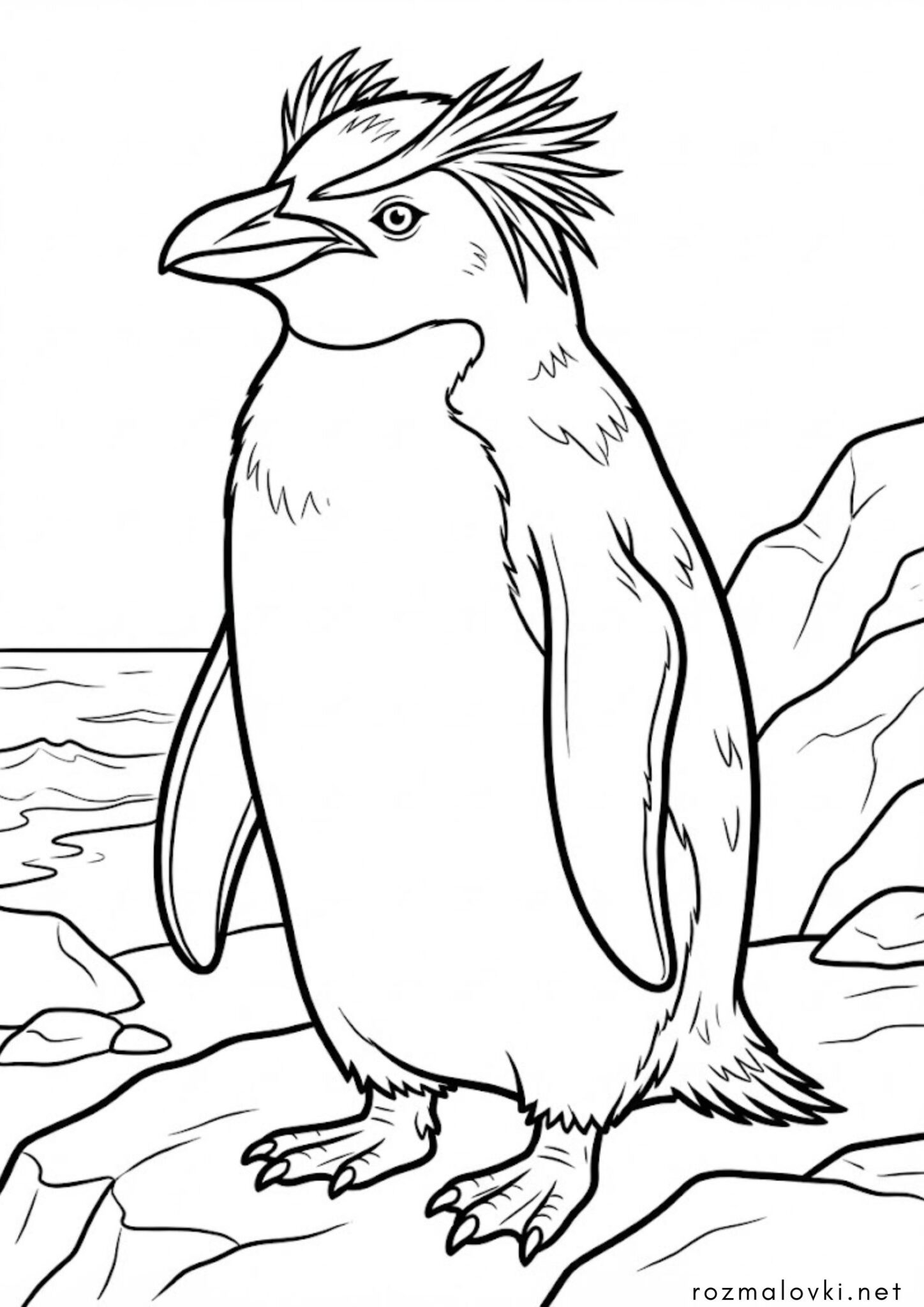 Раскраска Чубатий пінгвін