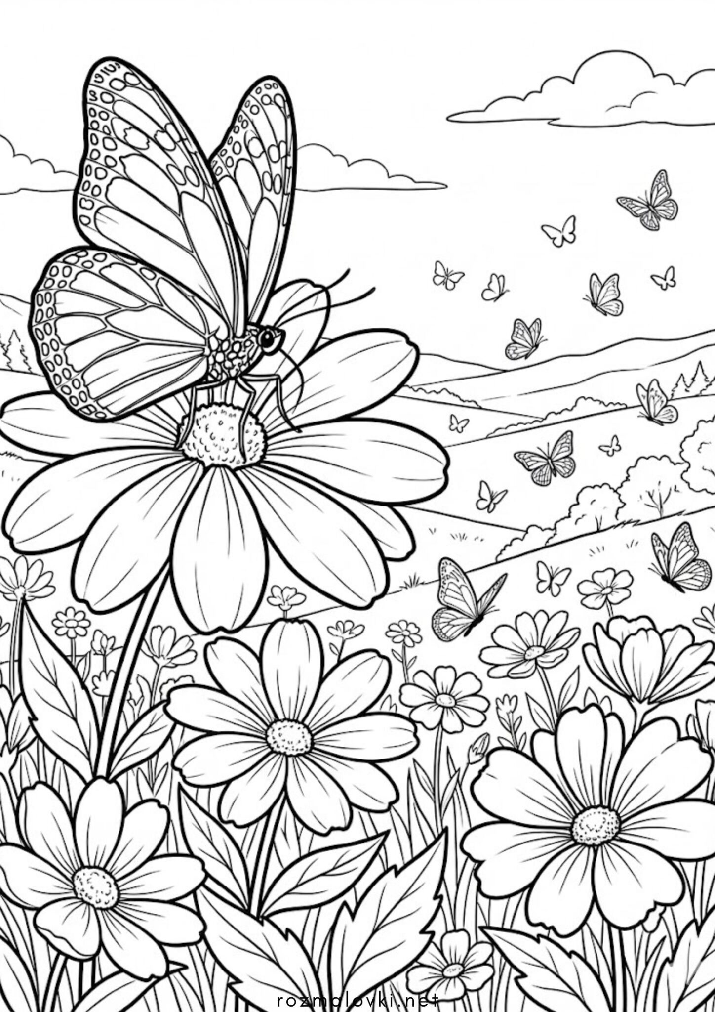 Раскраска Долина метеликів