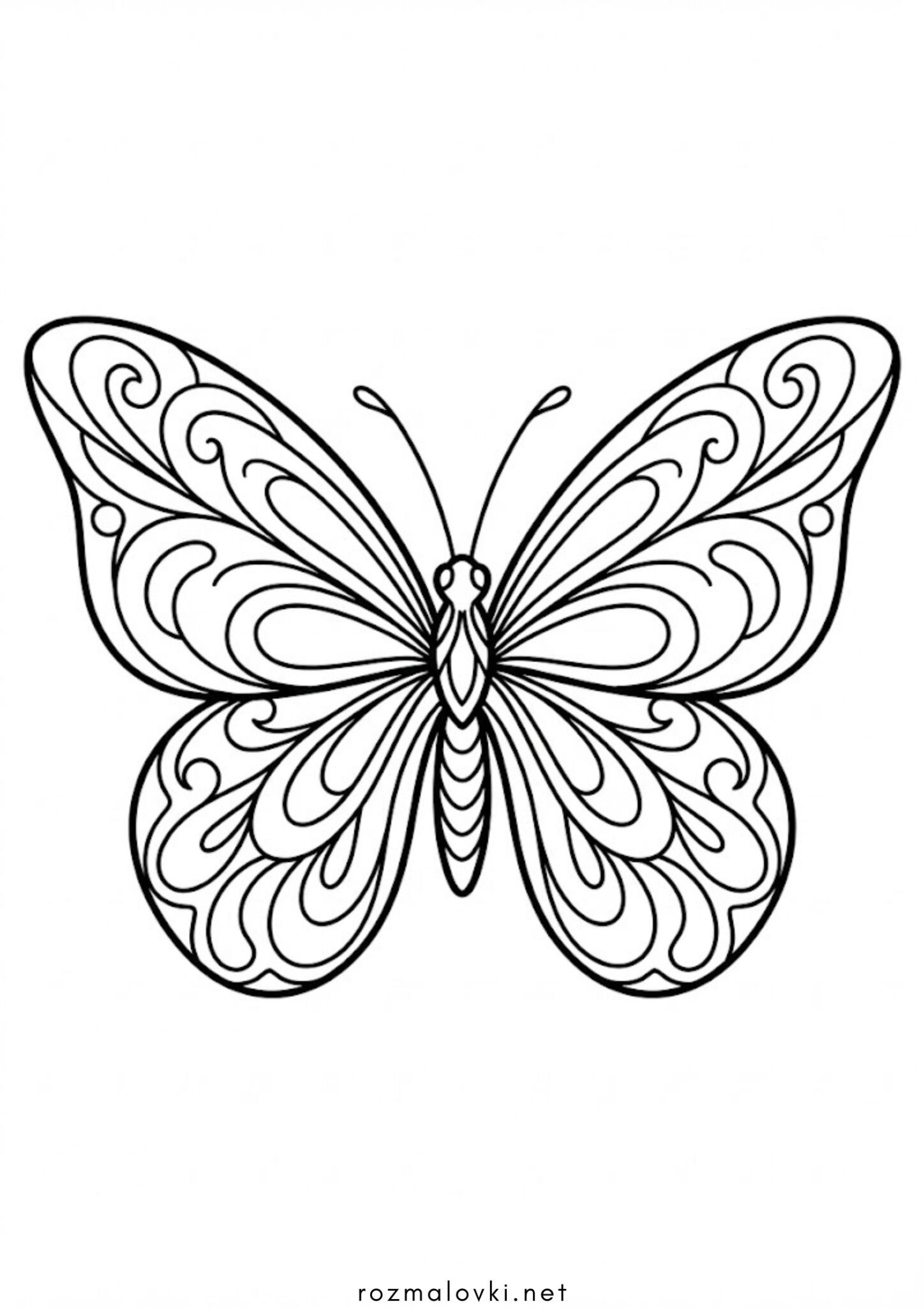 Раскраска Естетичний метелик