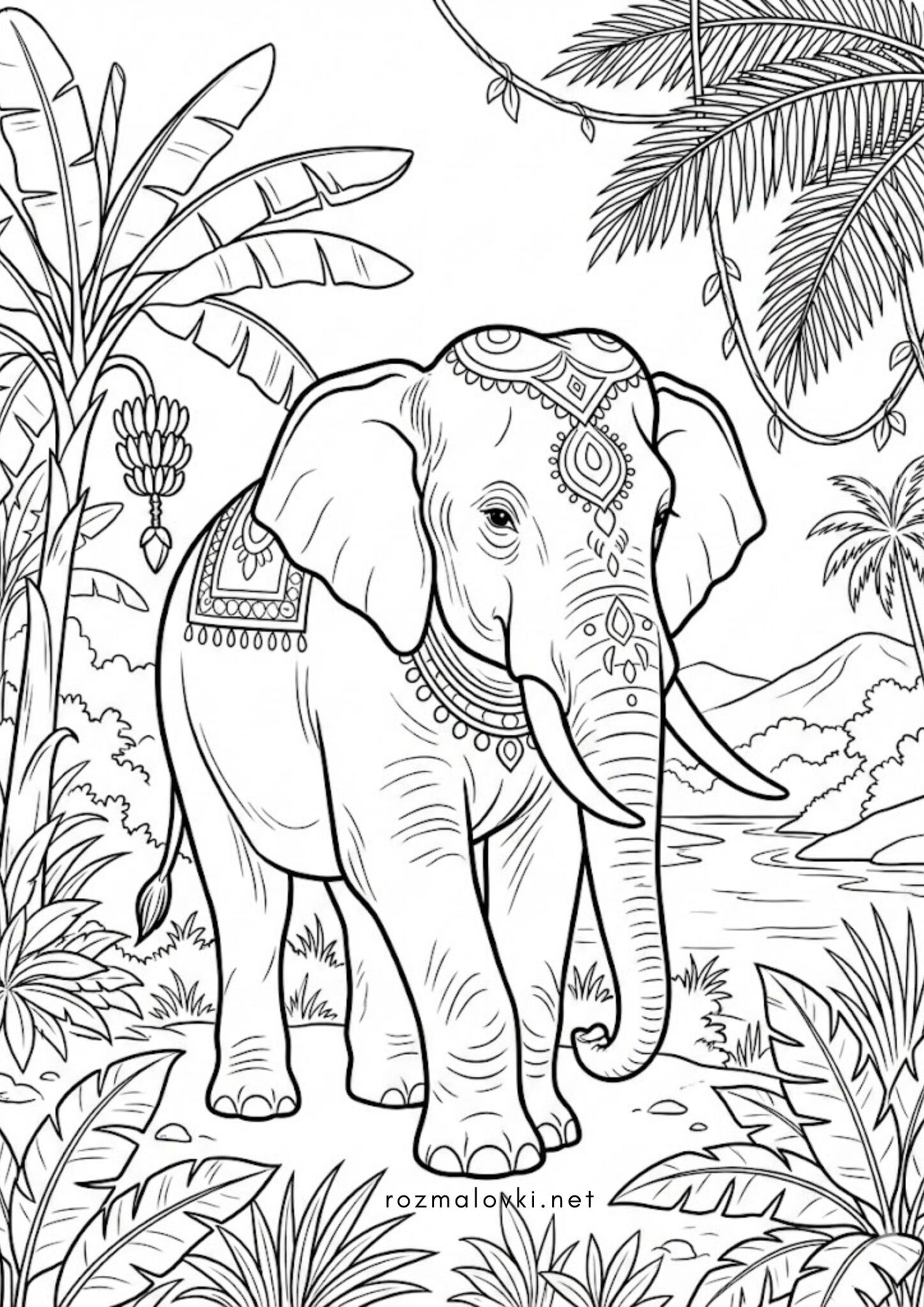 Раскраска Індійський слон у джунглях
