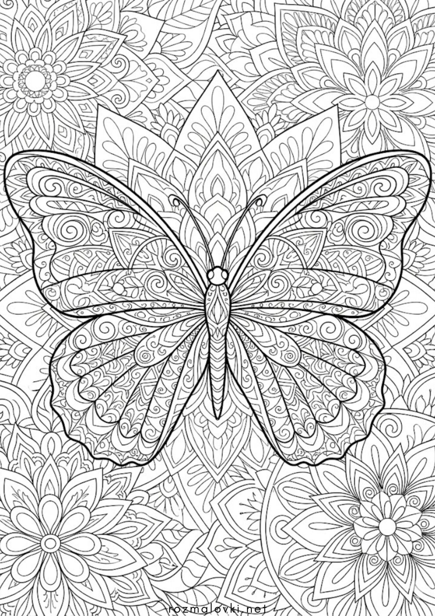 Раскраска Метелик антистрес