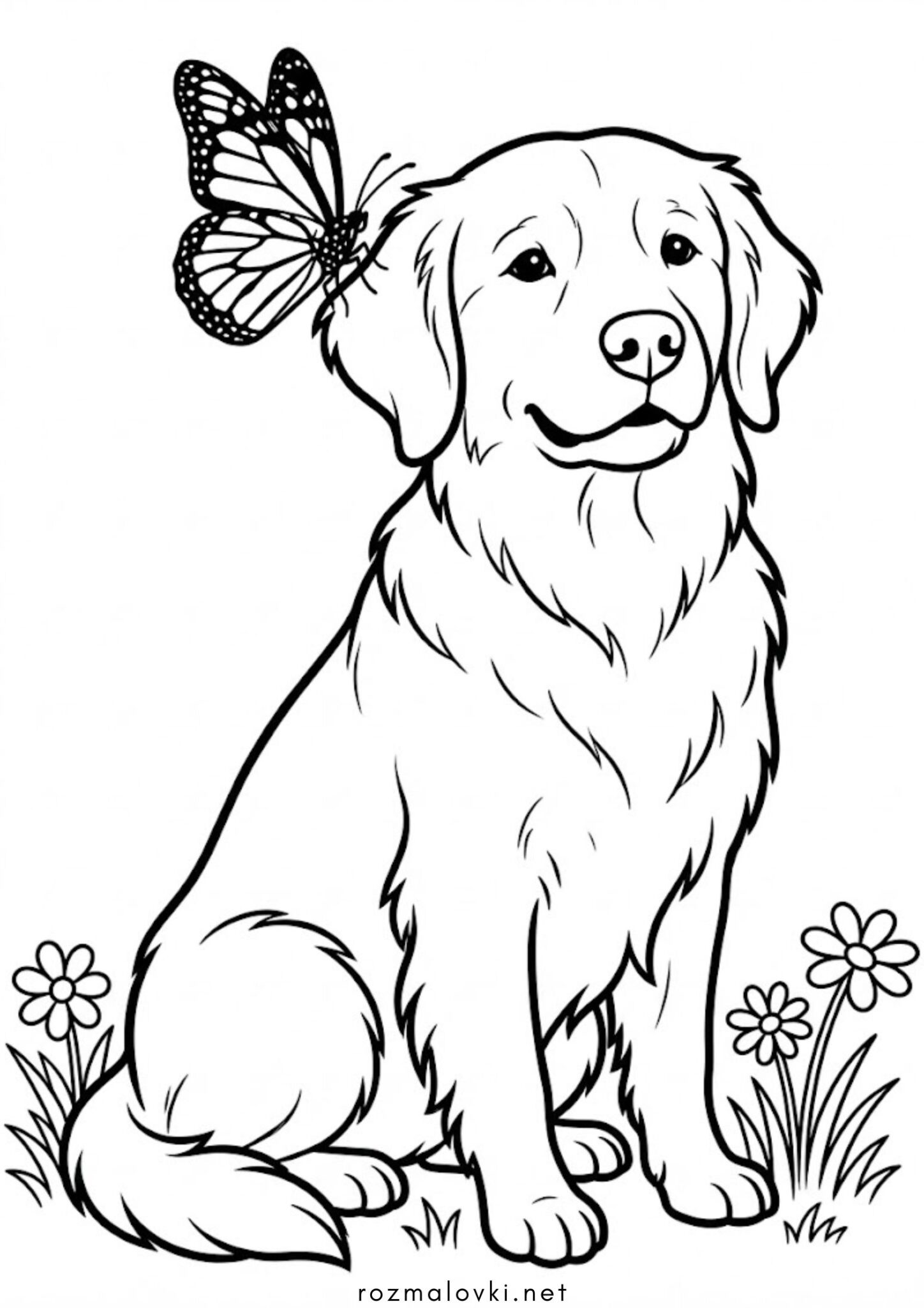 Раскраска Метелик на вусі собаки