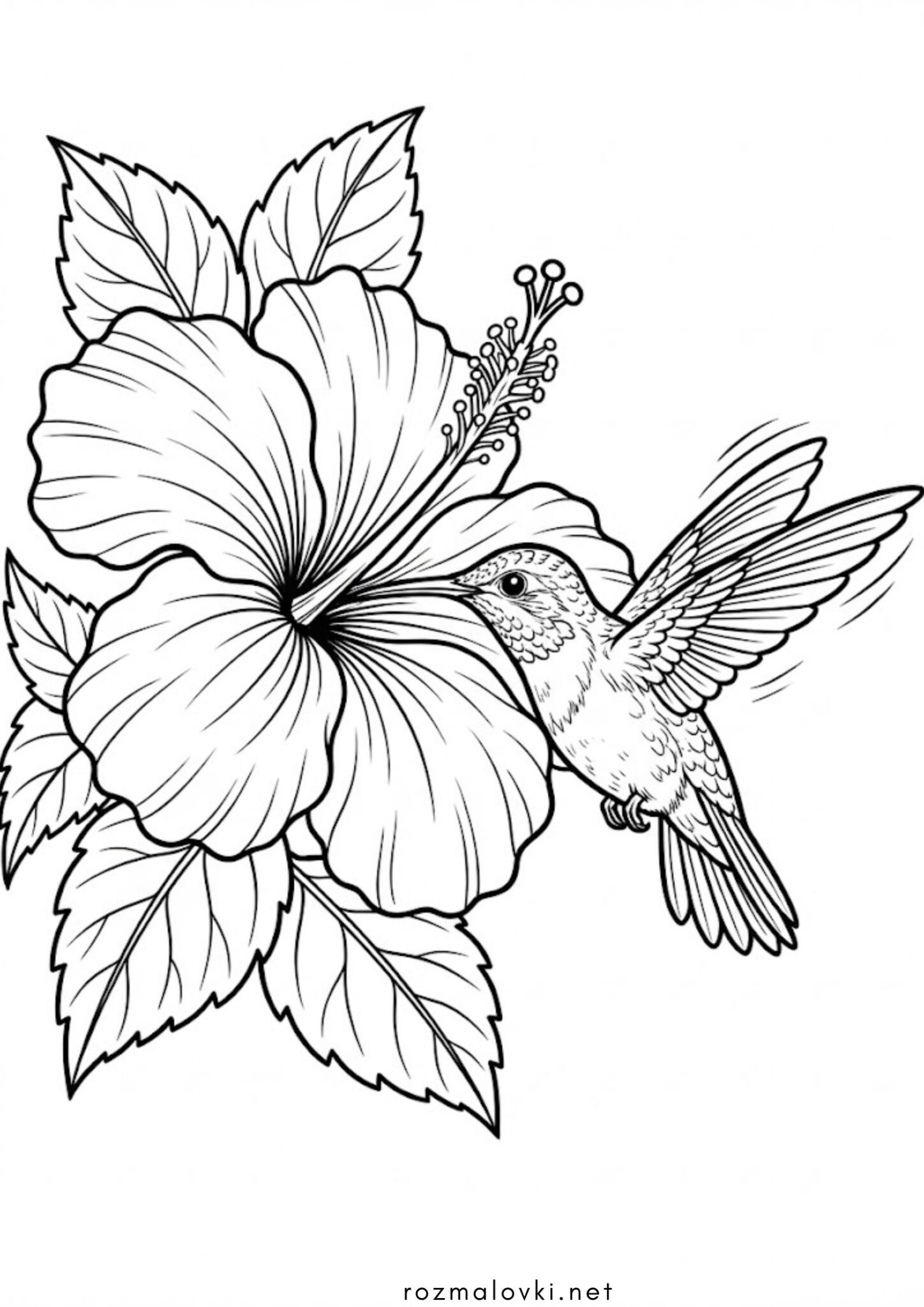 Раскраска Птах колібрі та квіточка