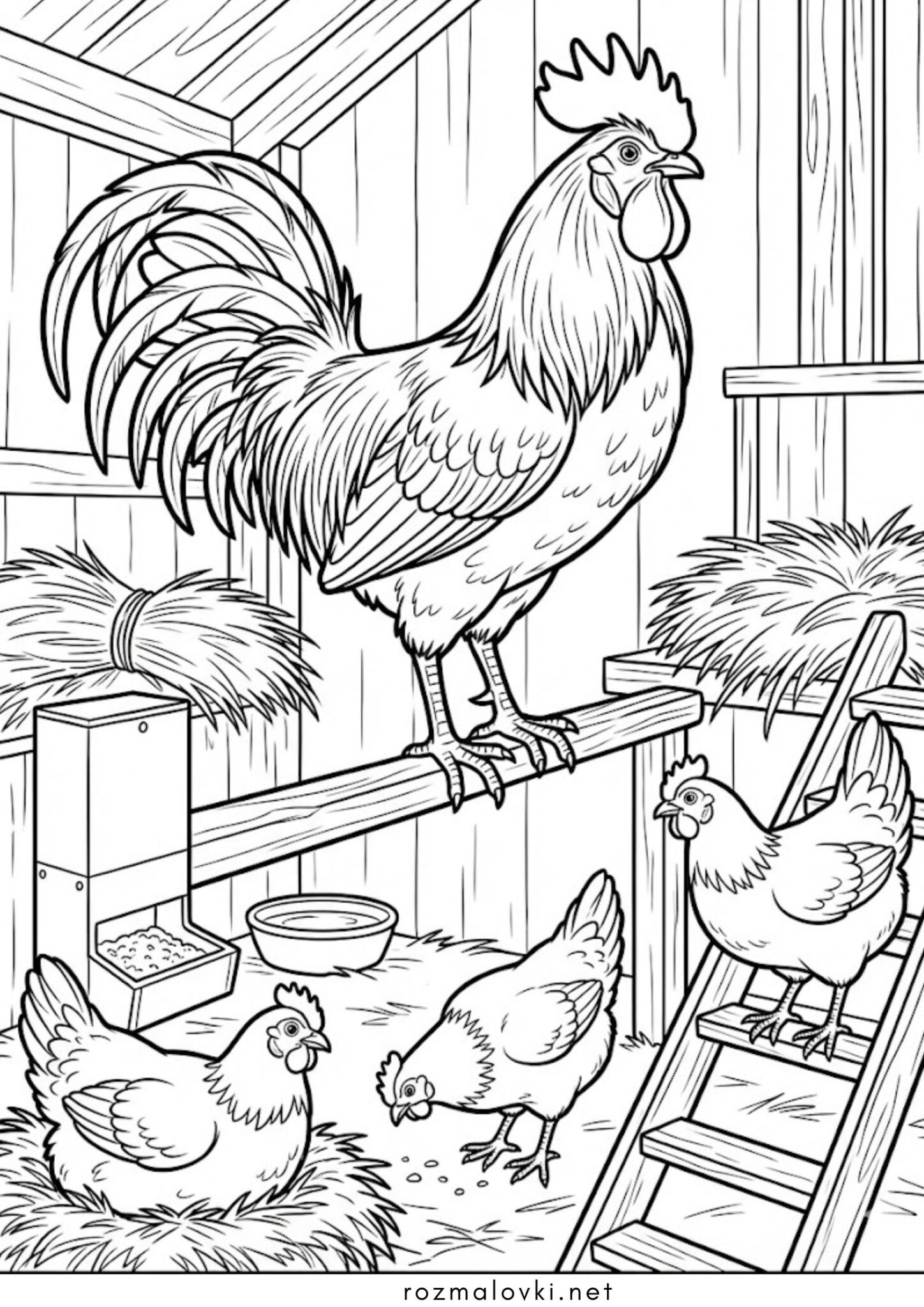 Раскраска Птах півень у курнику