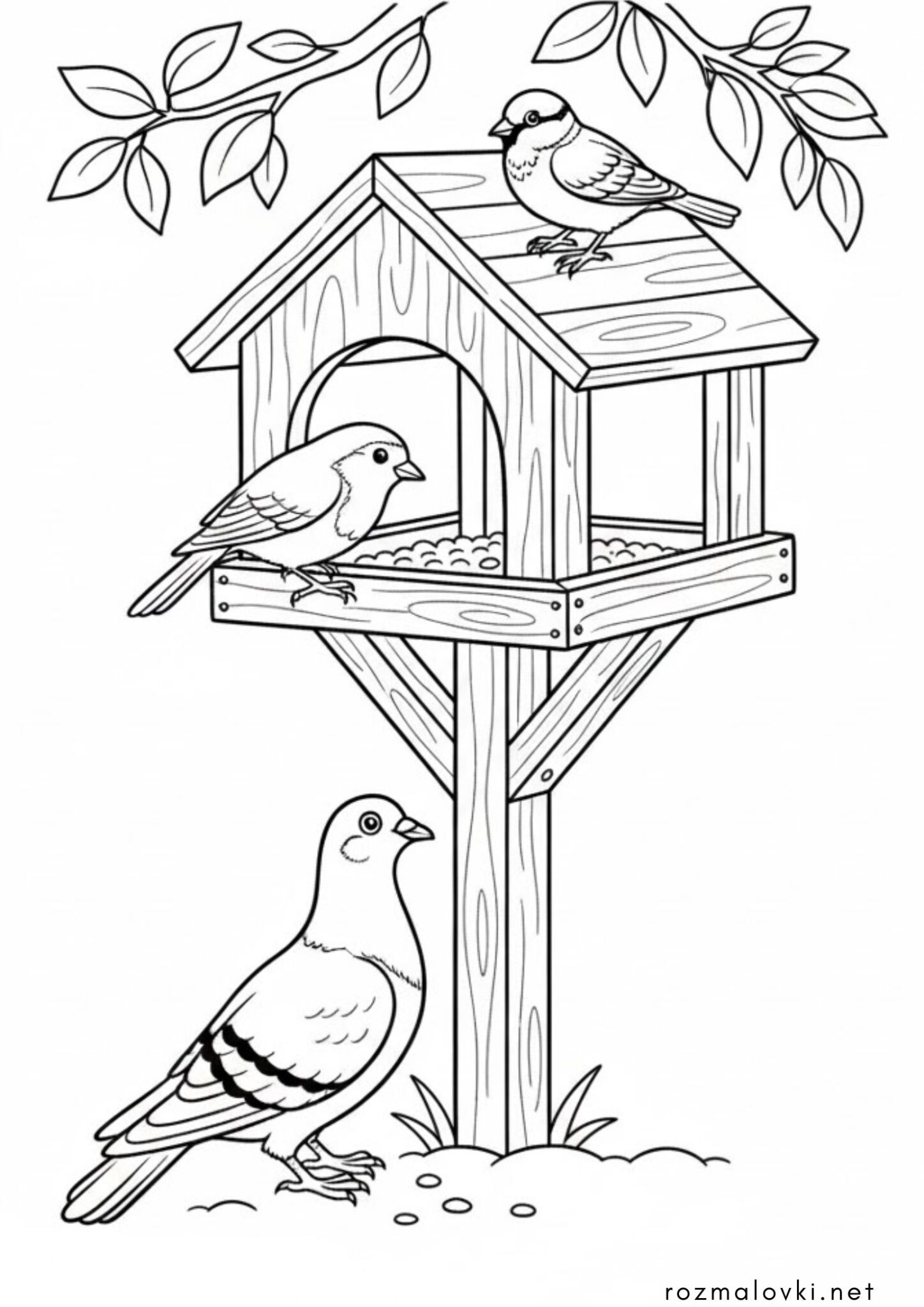 Раскраска Птахи біля годівнички
