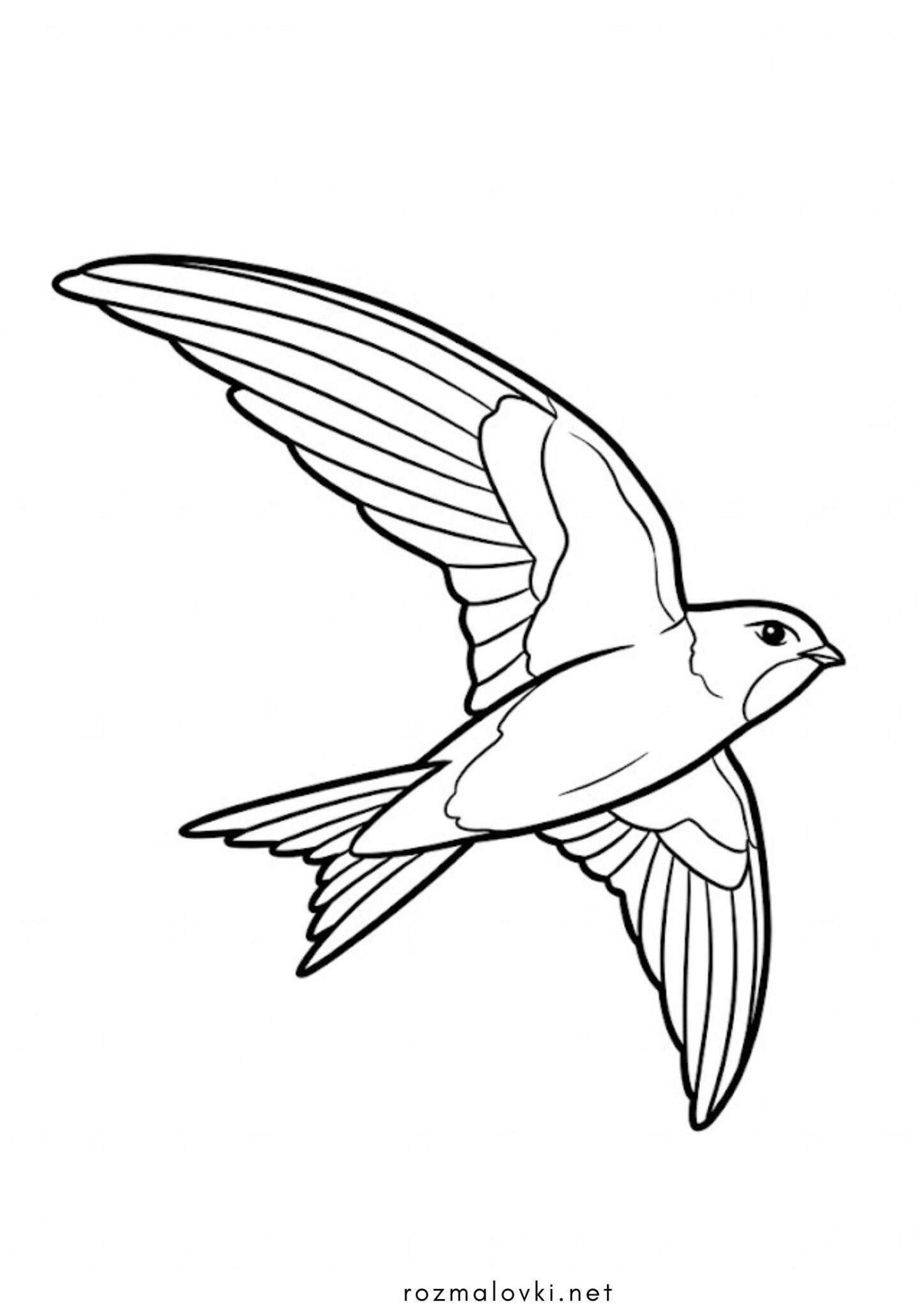 Раскраска Пташка чорна ластівка