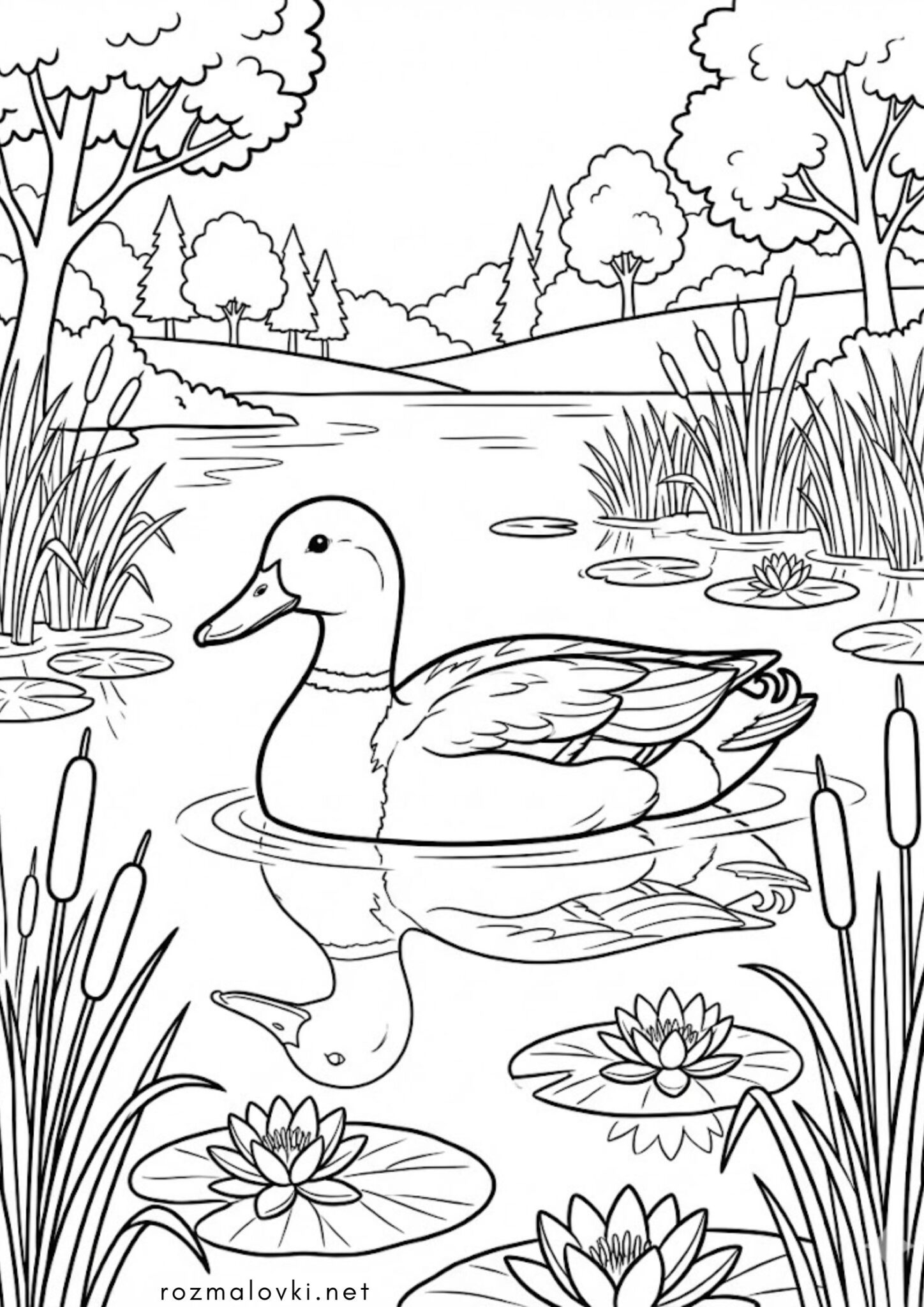 Раскраска Пташка качка на озері