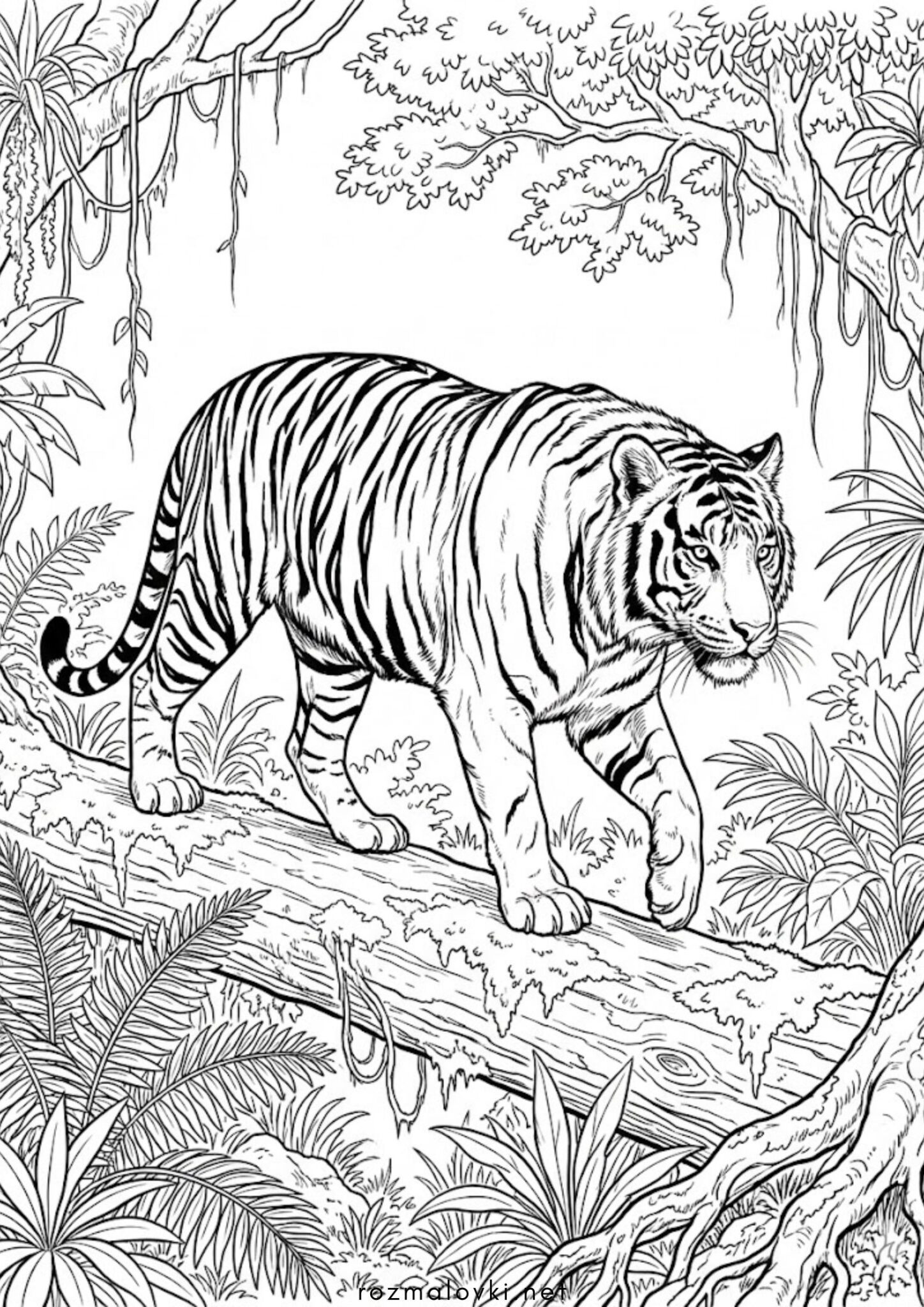 Раскраска Реалістичний тигр