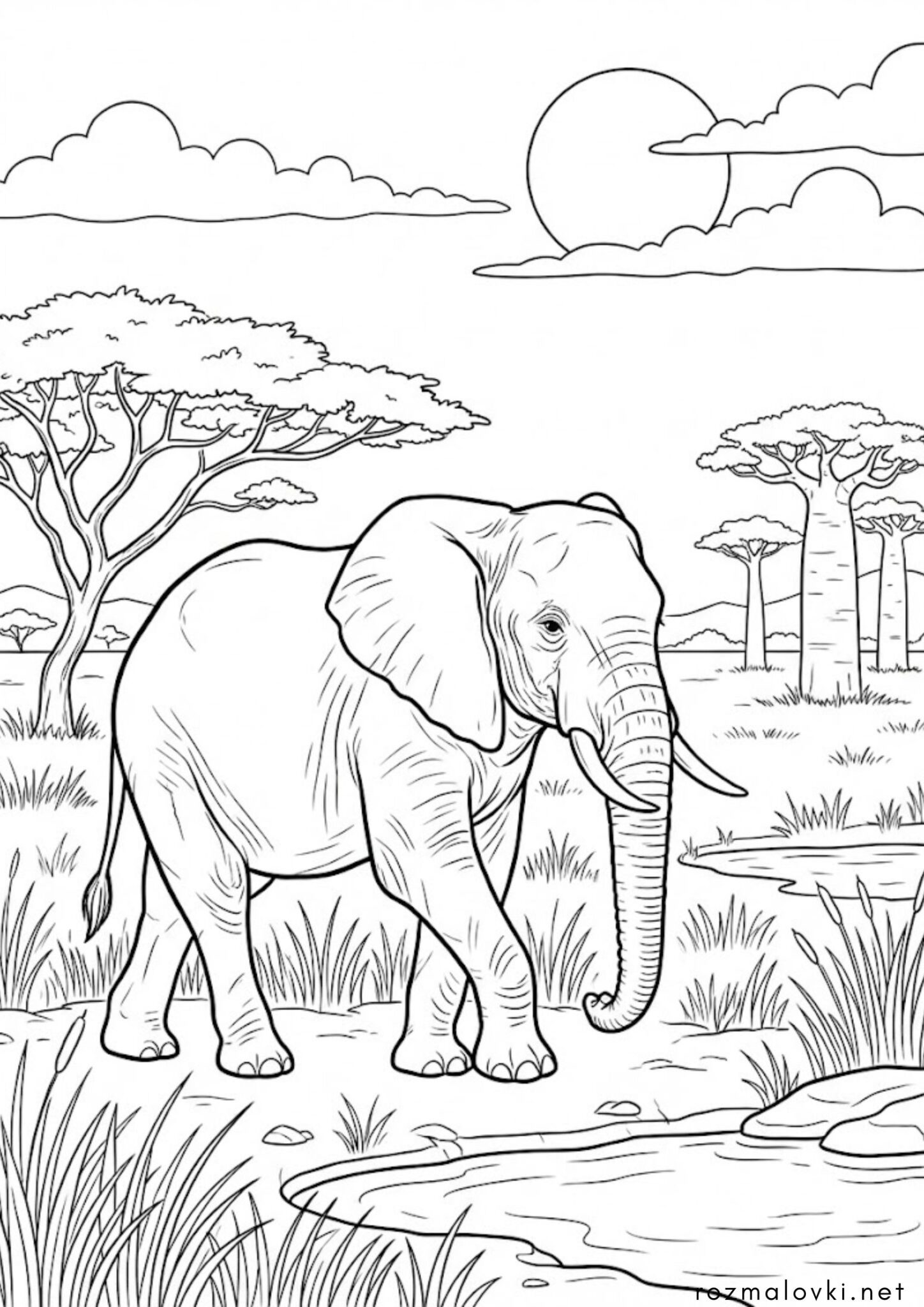 Раскраска Слон у Савані