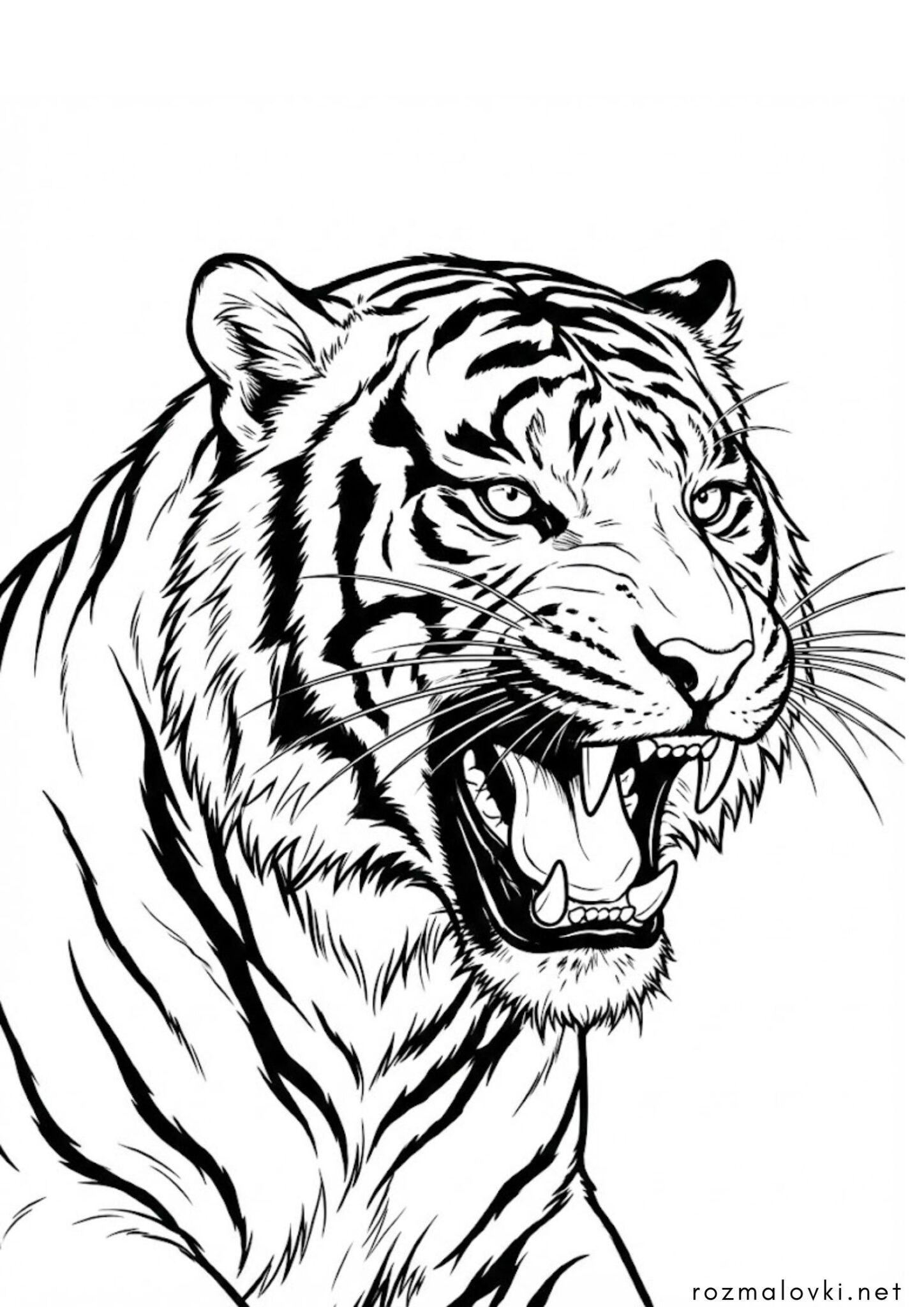 Раскраска Тигр ричить