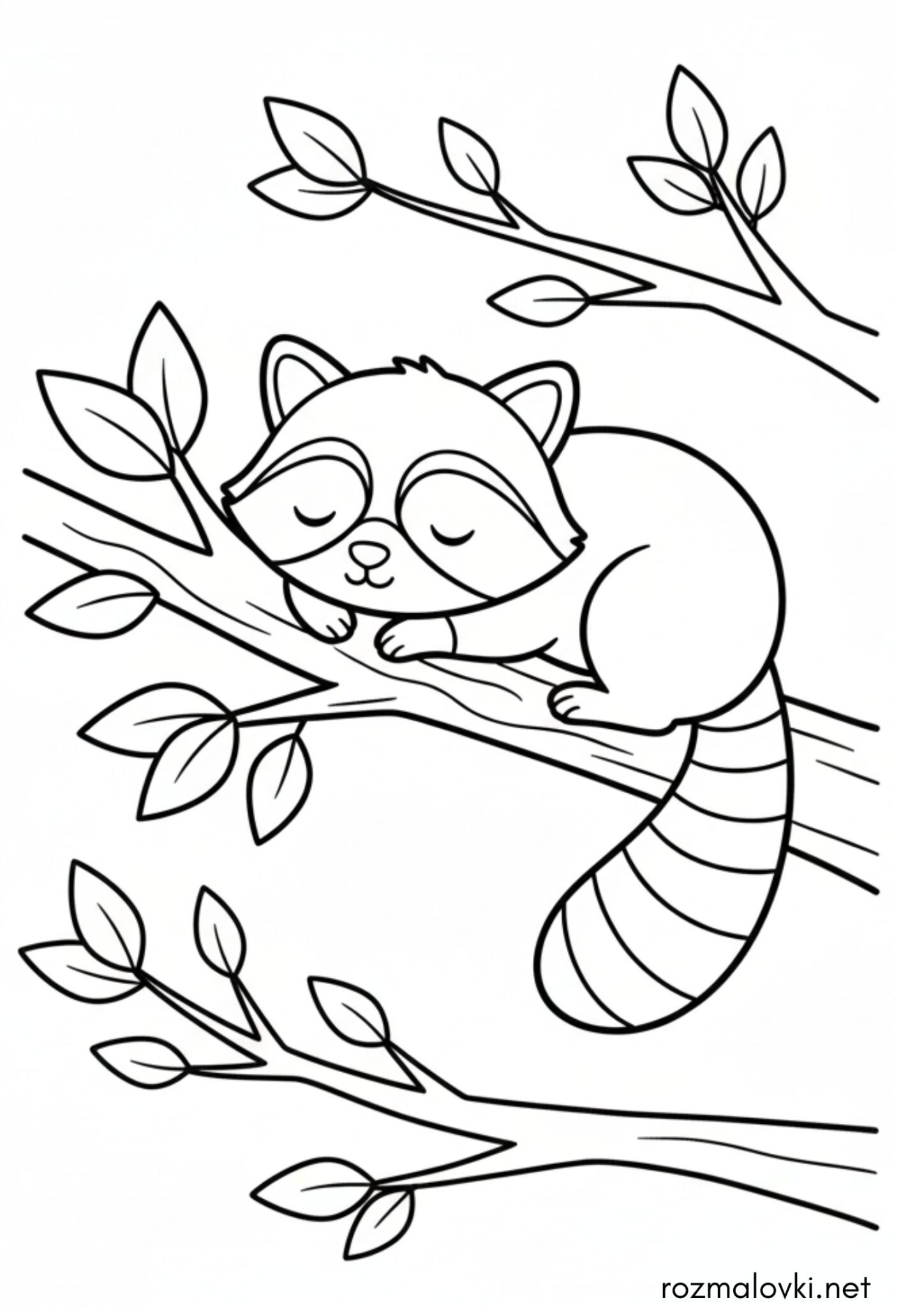 Раскраска Єнот спить у лісі
