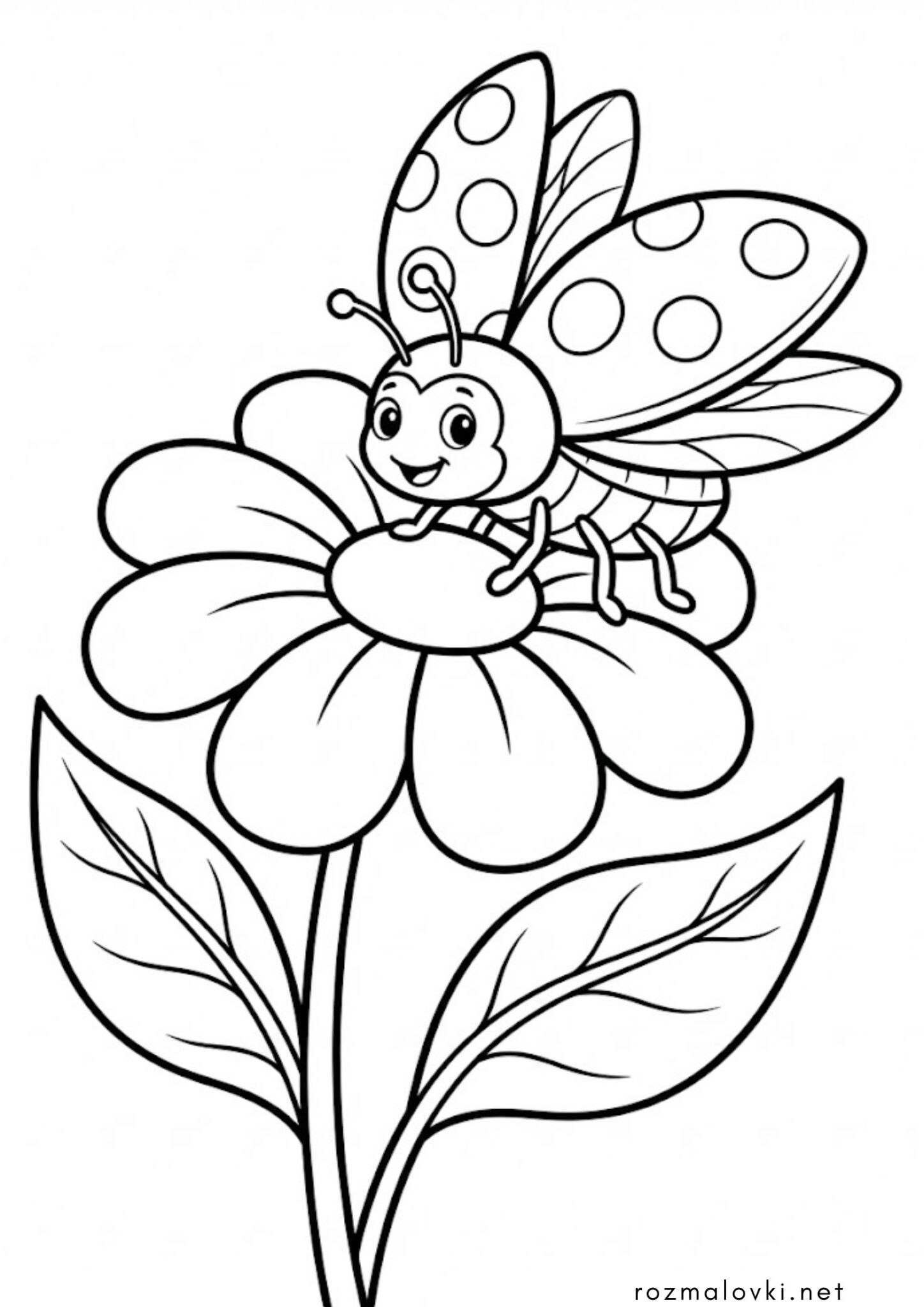 Раскраска Жук Божа корівка