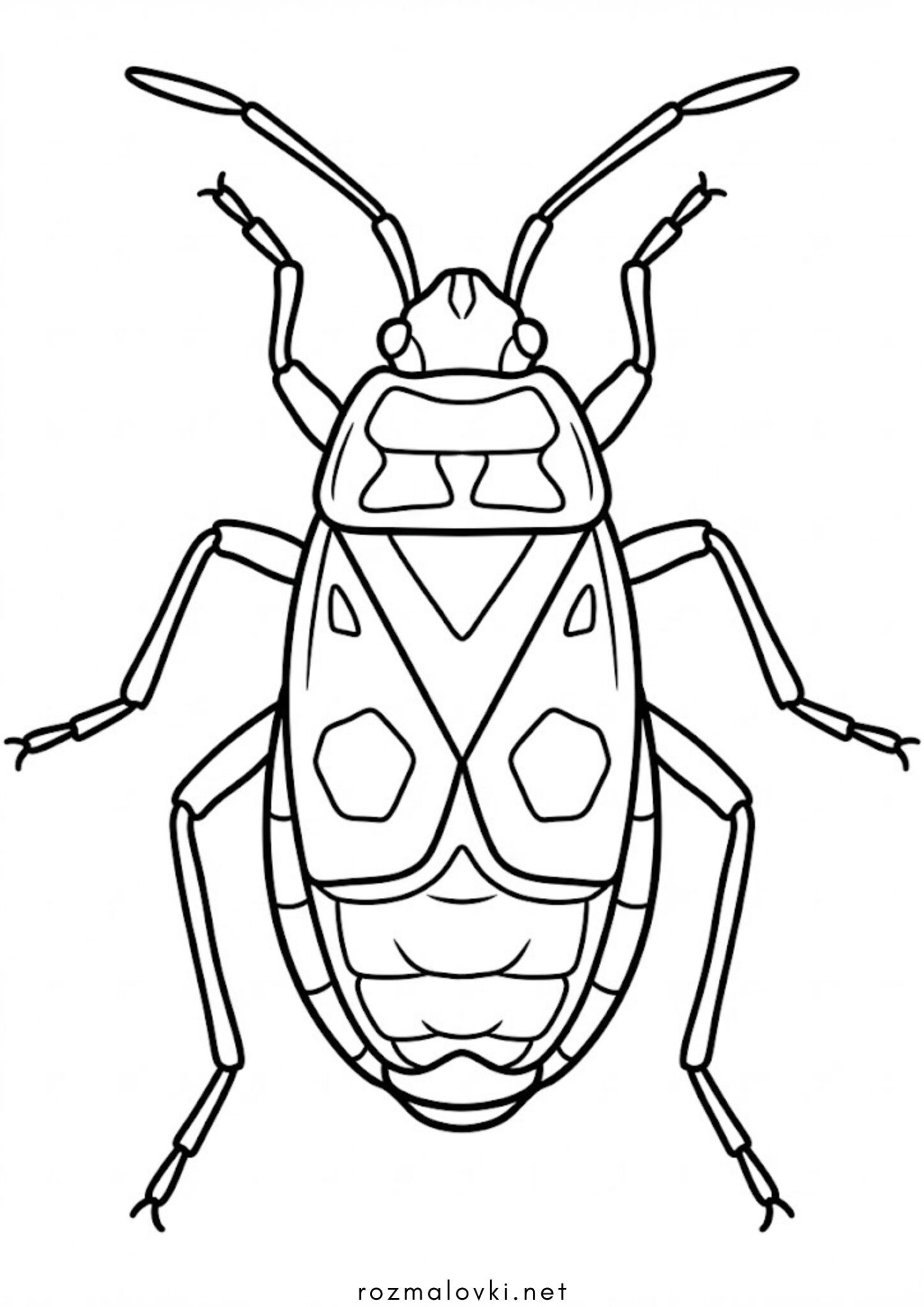 Раскраска Жук-пожежник
