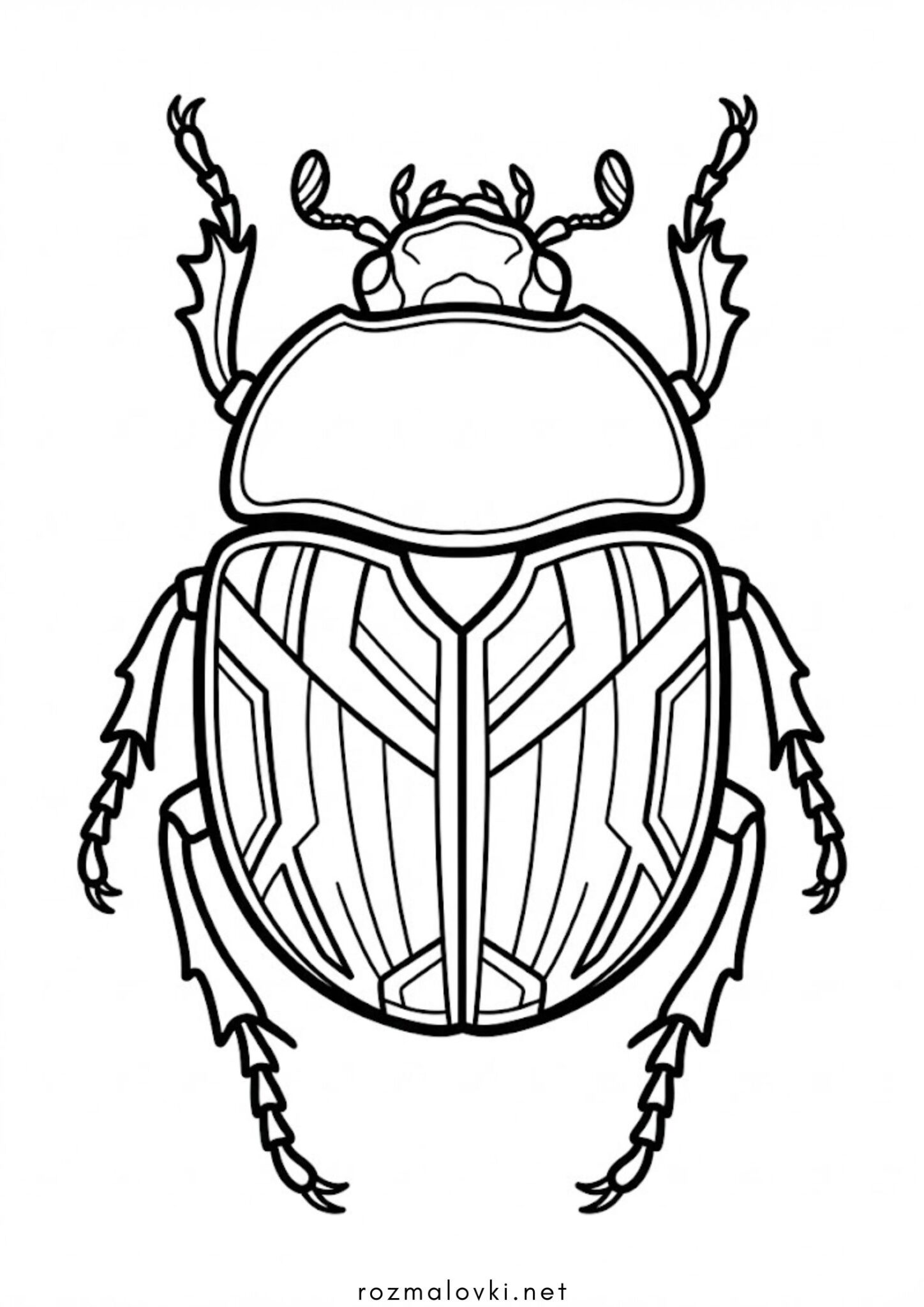 Раскраска Жук-скарабей
