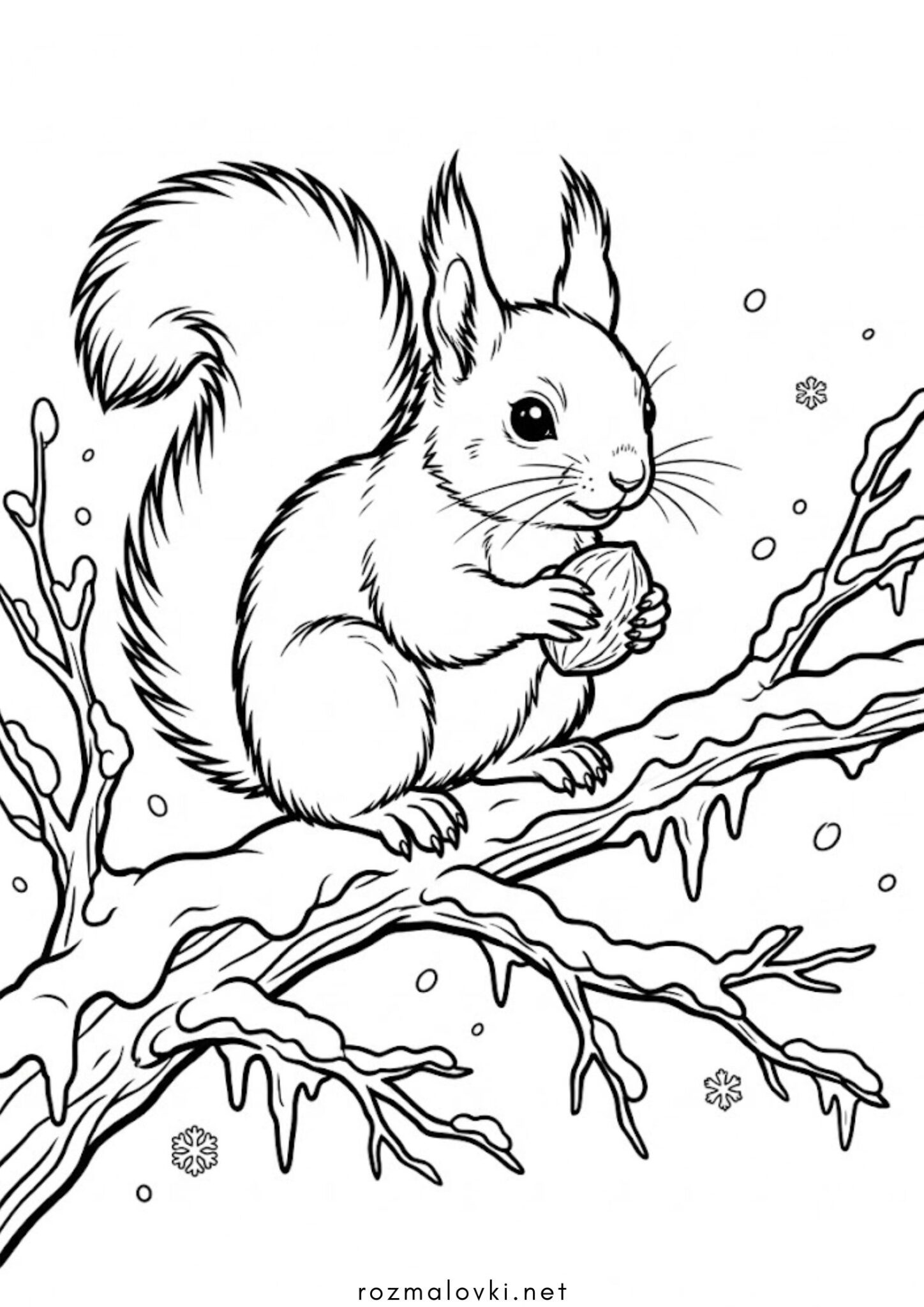 Раскраска Зима: білочка у снігу