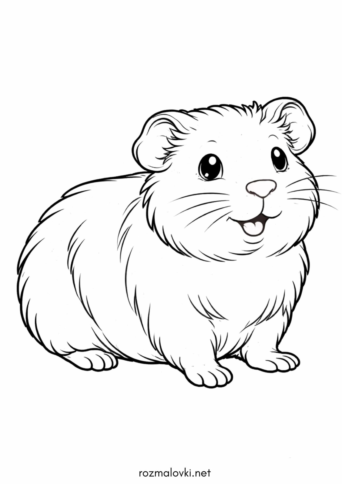 Раскраска Морська свинка