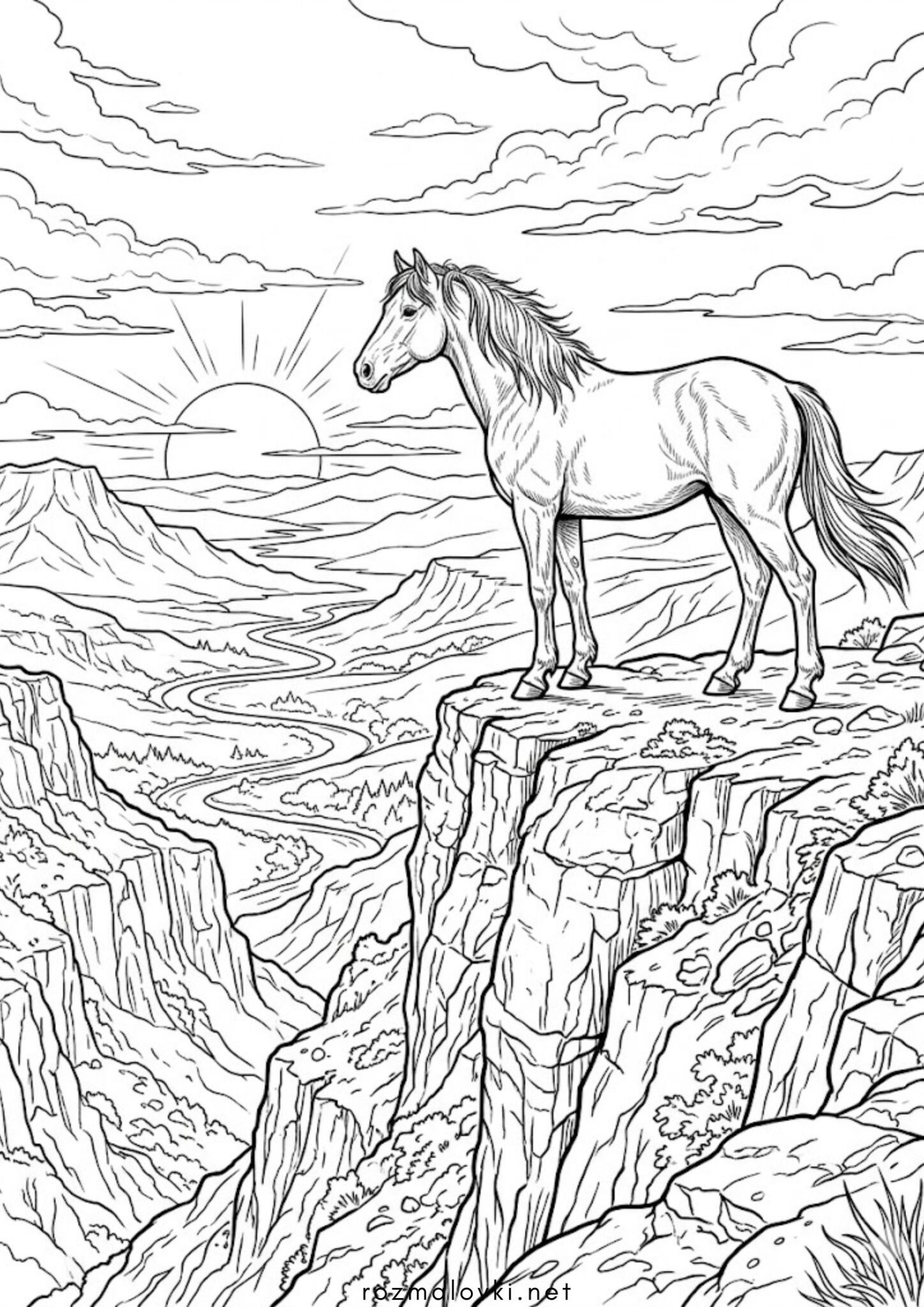 Раскраска Дикий кінь