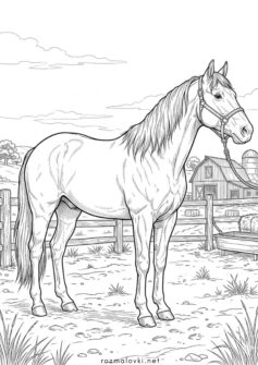 Кінь на ранчо