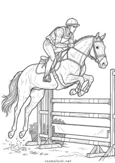 Кінь на змаганнях з жокеєм