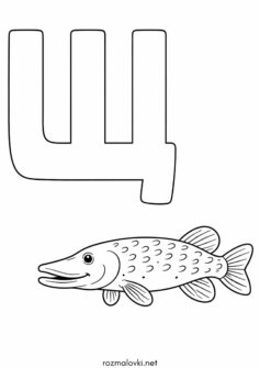 Літера Щ (буква) – Щука