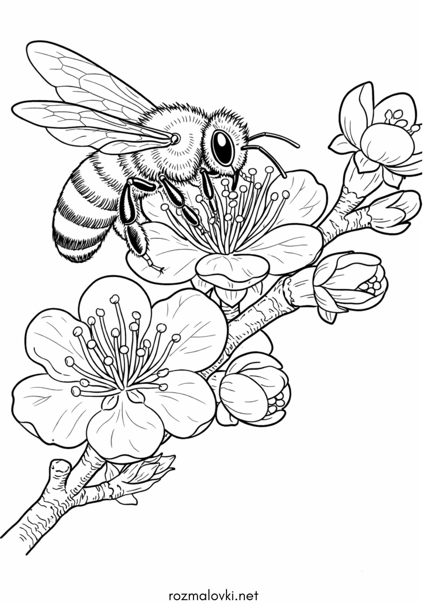 Раскраска Весна – бджола на квіточці