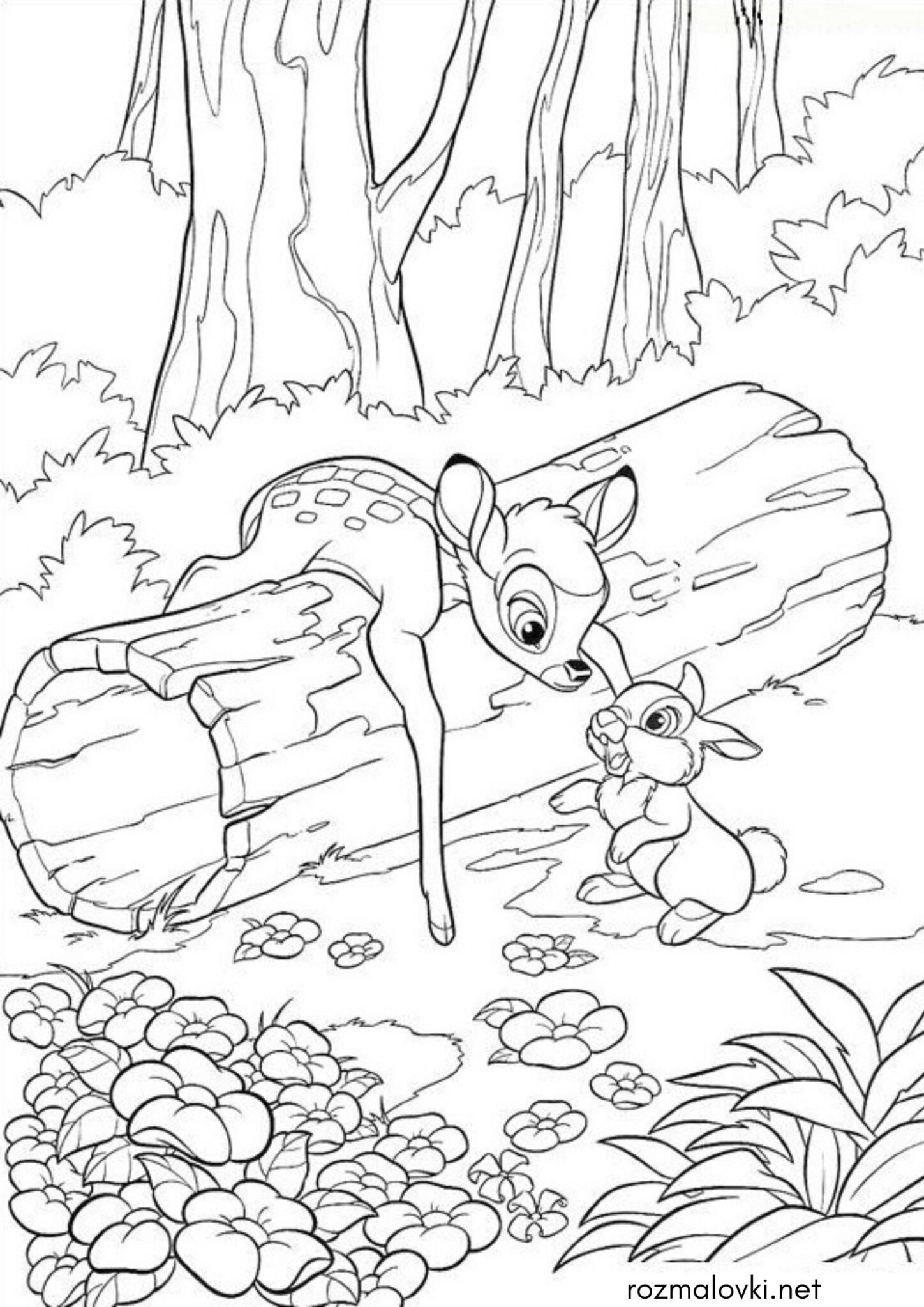 Раскраска Бембі і Топотун