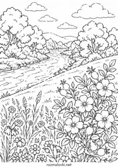 Літня природа