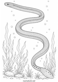 Морська змія