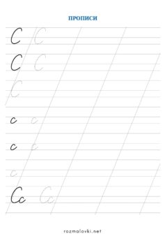 Прописи літера С – велика та мала