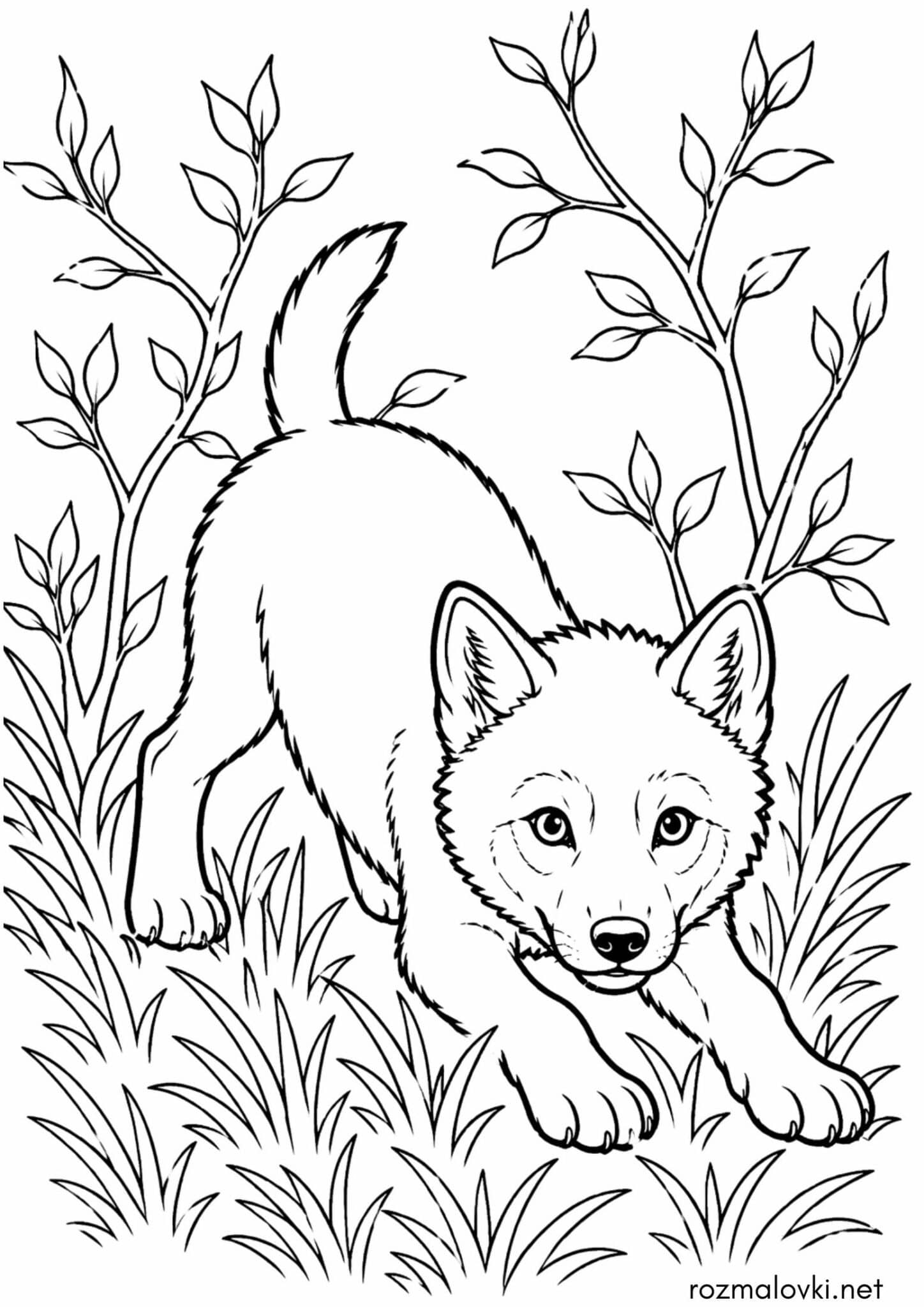 Раскраска Вовченя