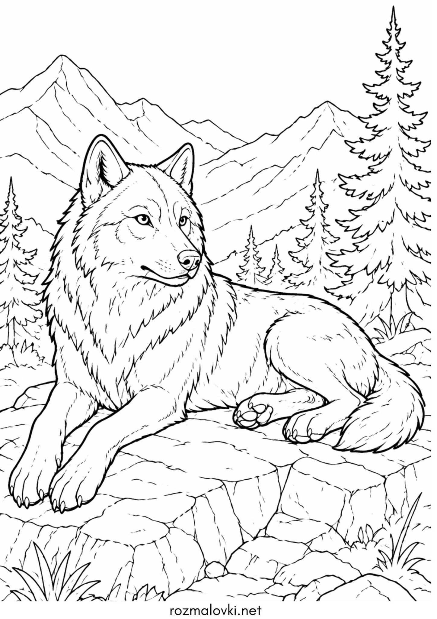 Раскраска Вовк лежить