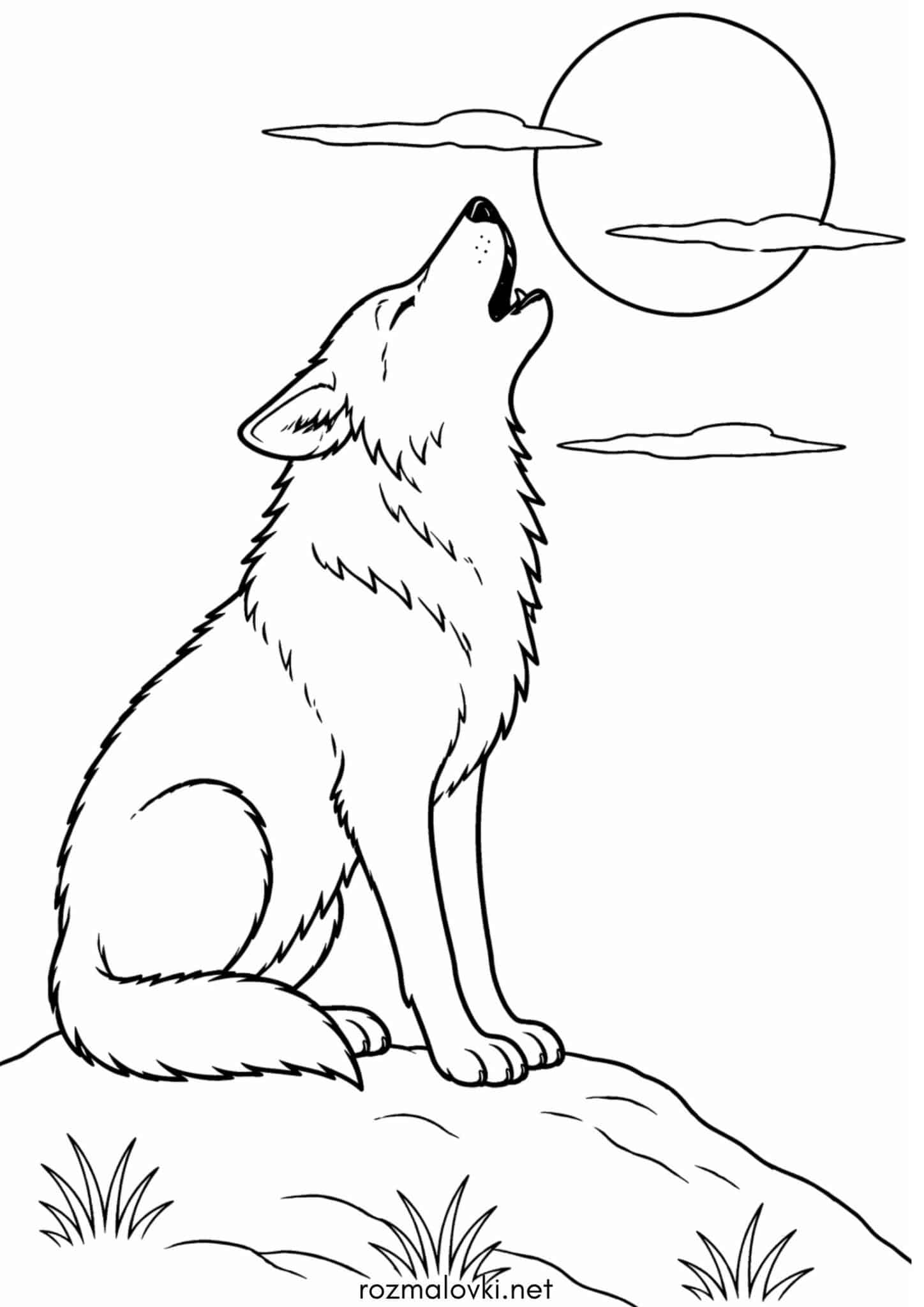 Раскраска Вовк виє на Місяць