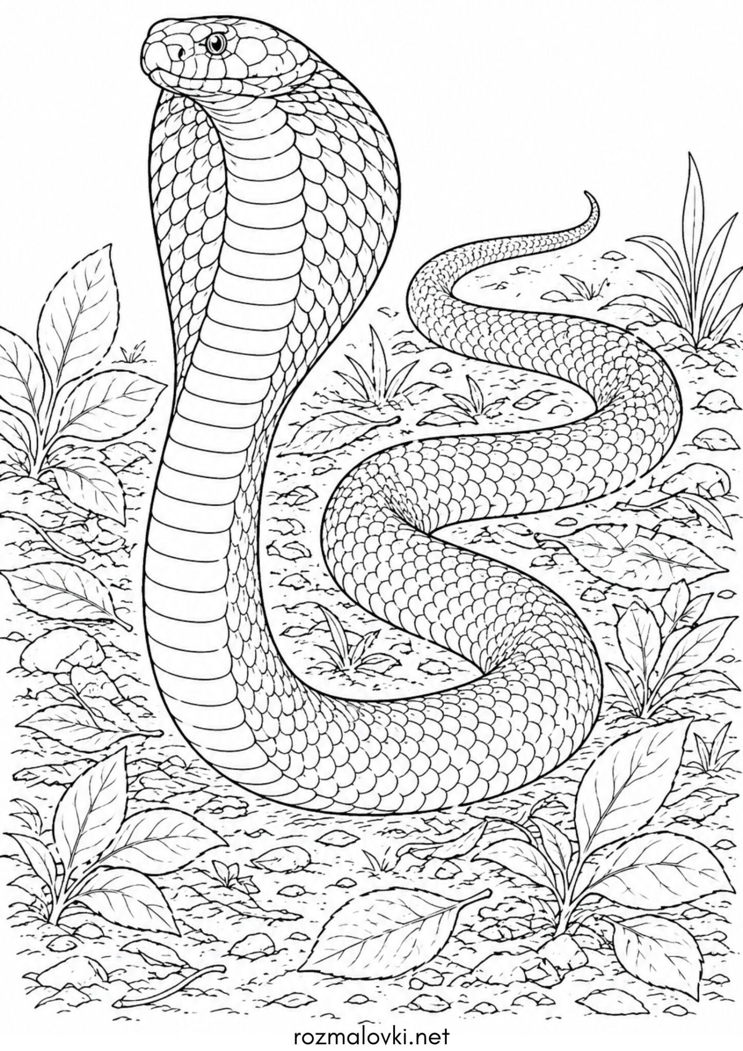 Раскраска Змія кобра