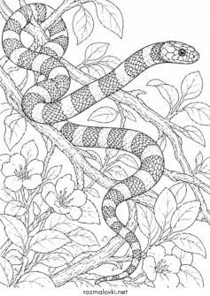 Змія в джунглях