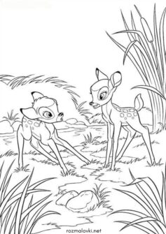 Знайомство Бембі та Фелін