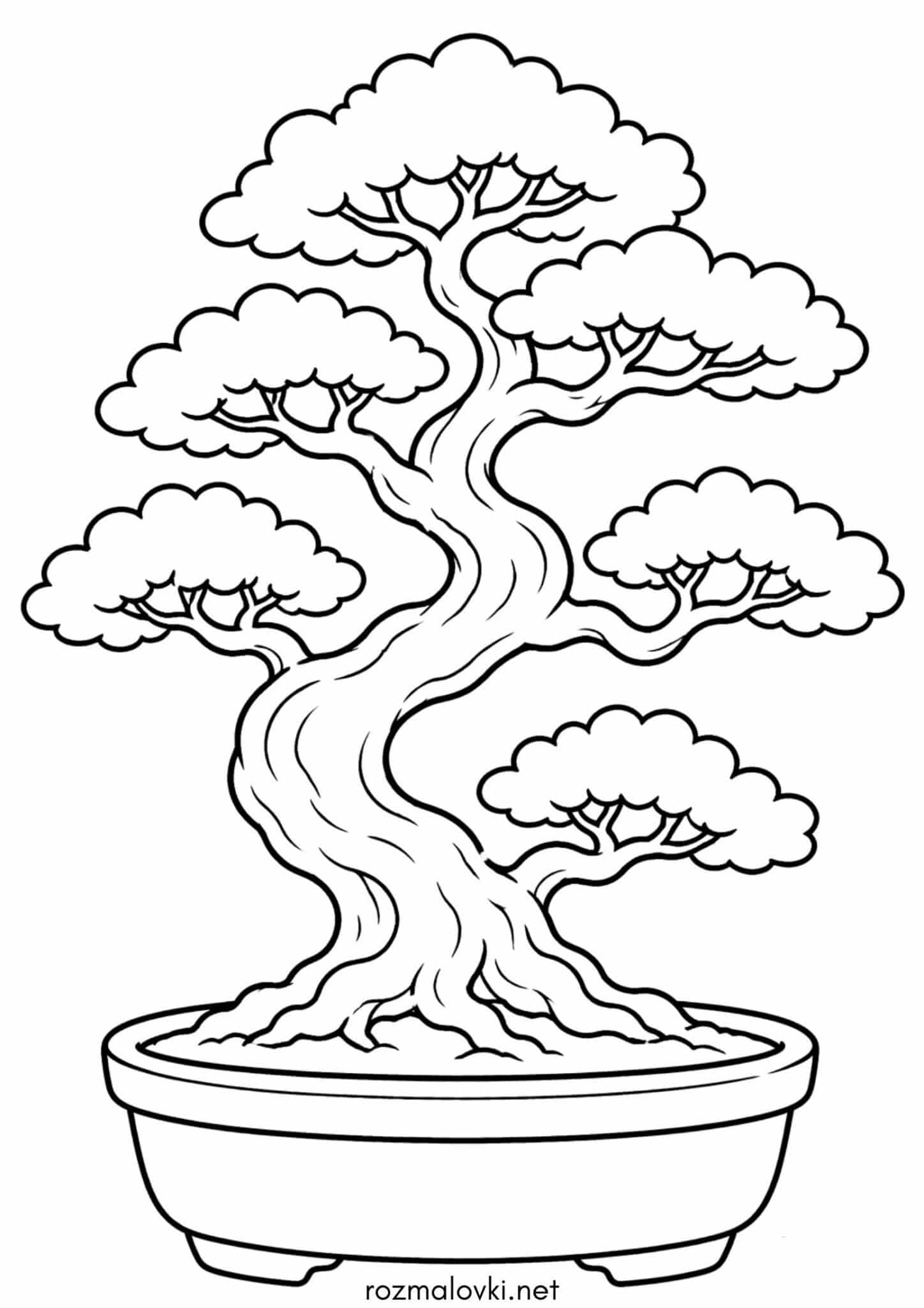 Раскраска Дерево бонсай