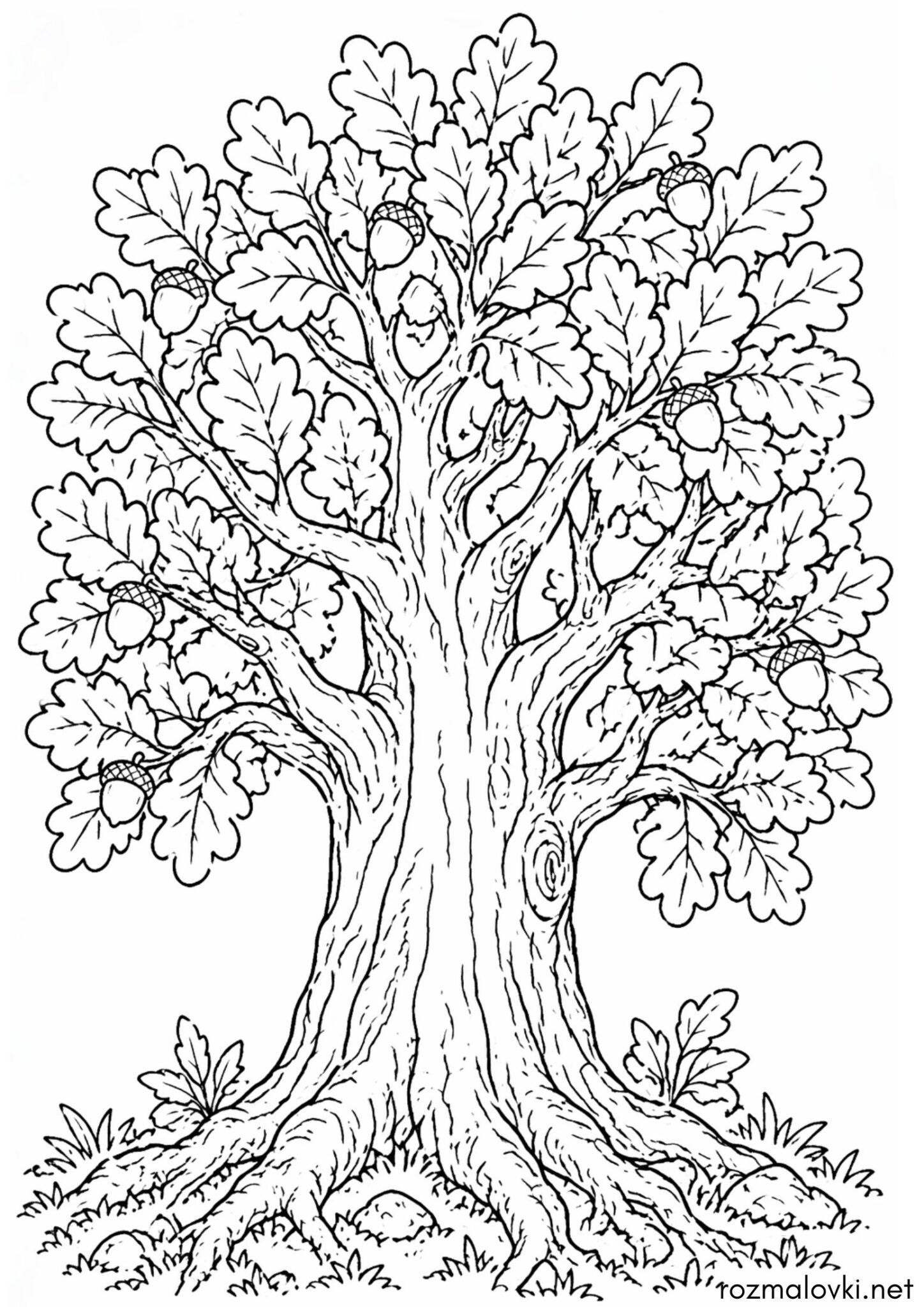 Раскраска Дерево великий дуб
