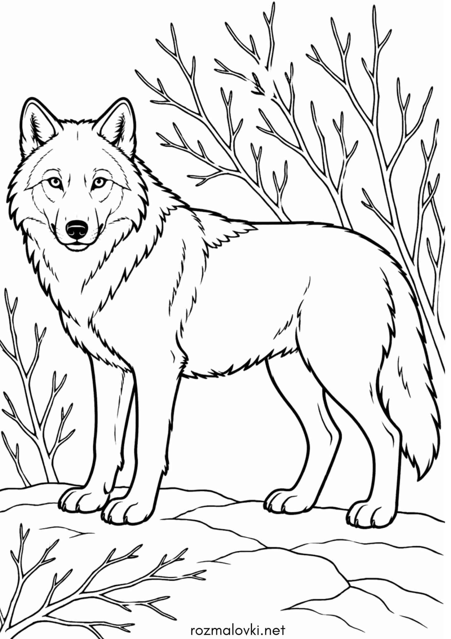 Раскраска Реалістичний вовк