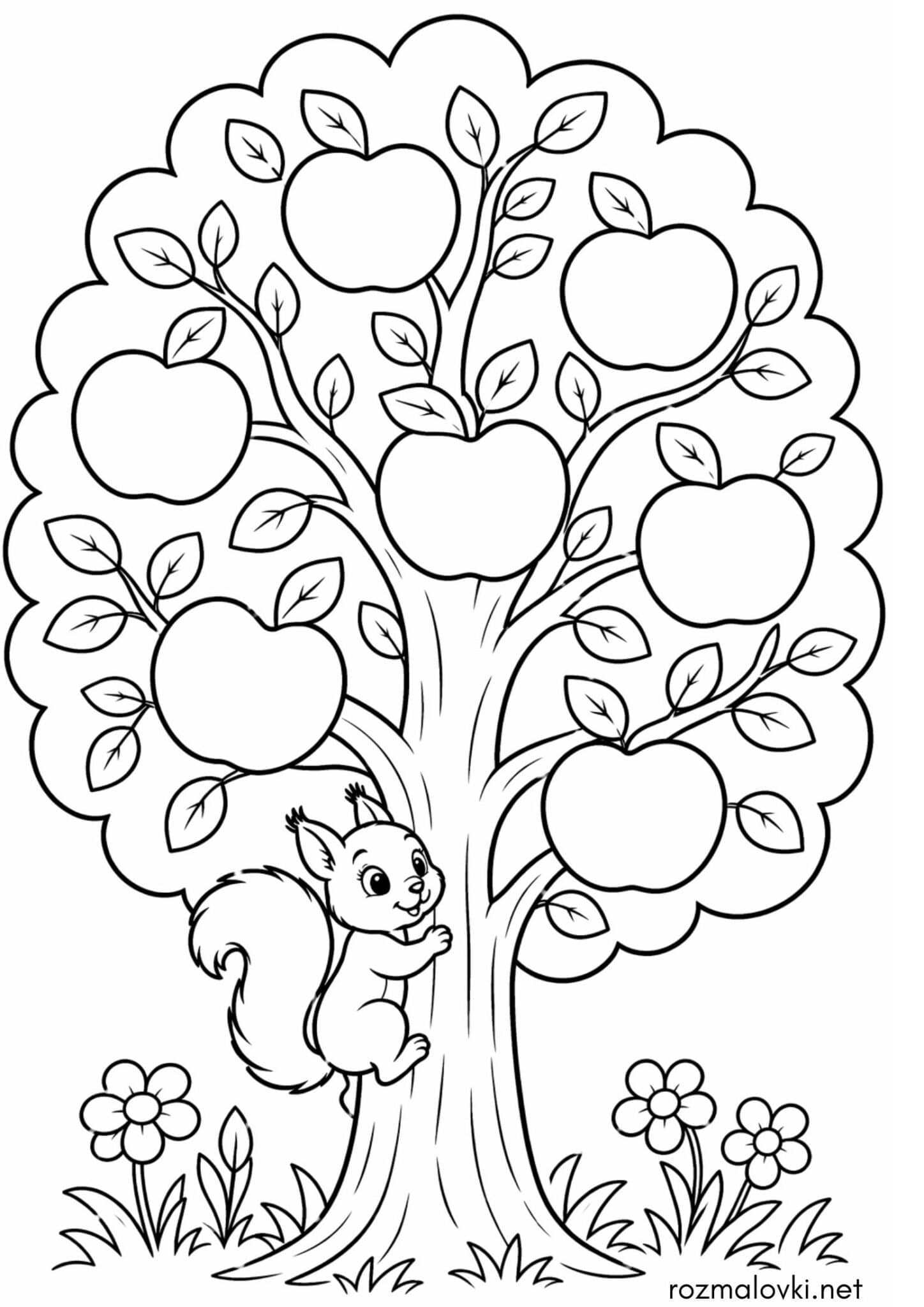 Раскраска Дерево – яблуня