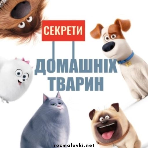 Розмальовки Секрети домашніх тварин