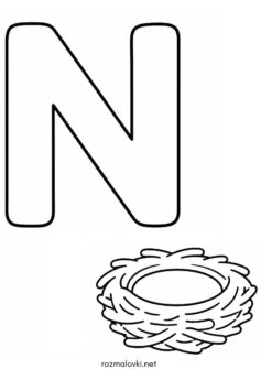 Літера N (буква) – Nest